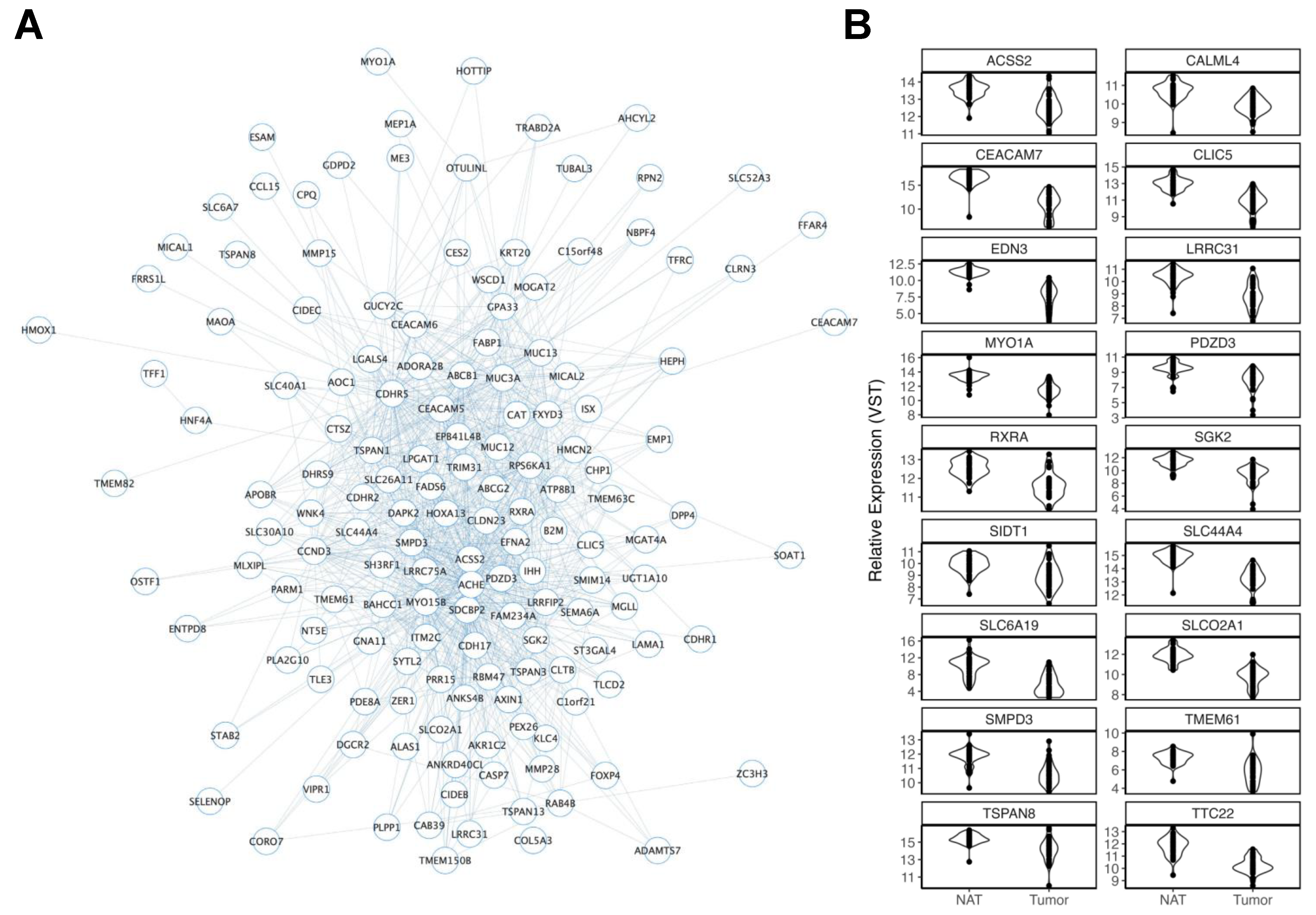 Cancers 15 03550 g005 Cancers 15 03550 g005