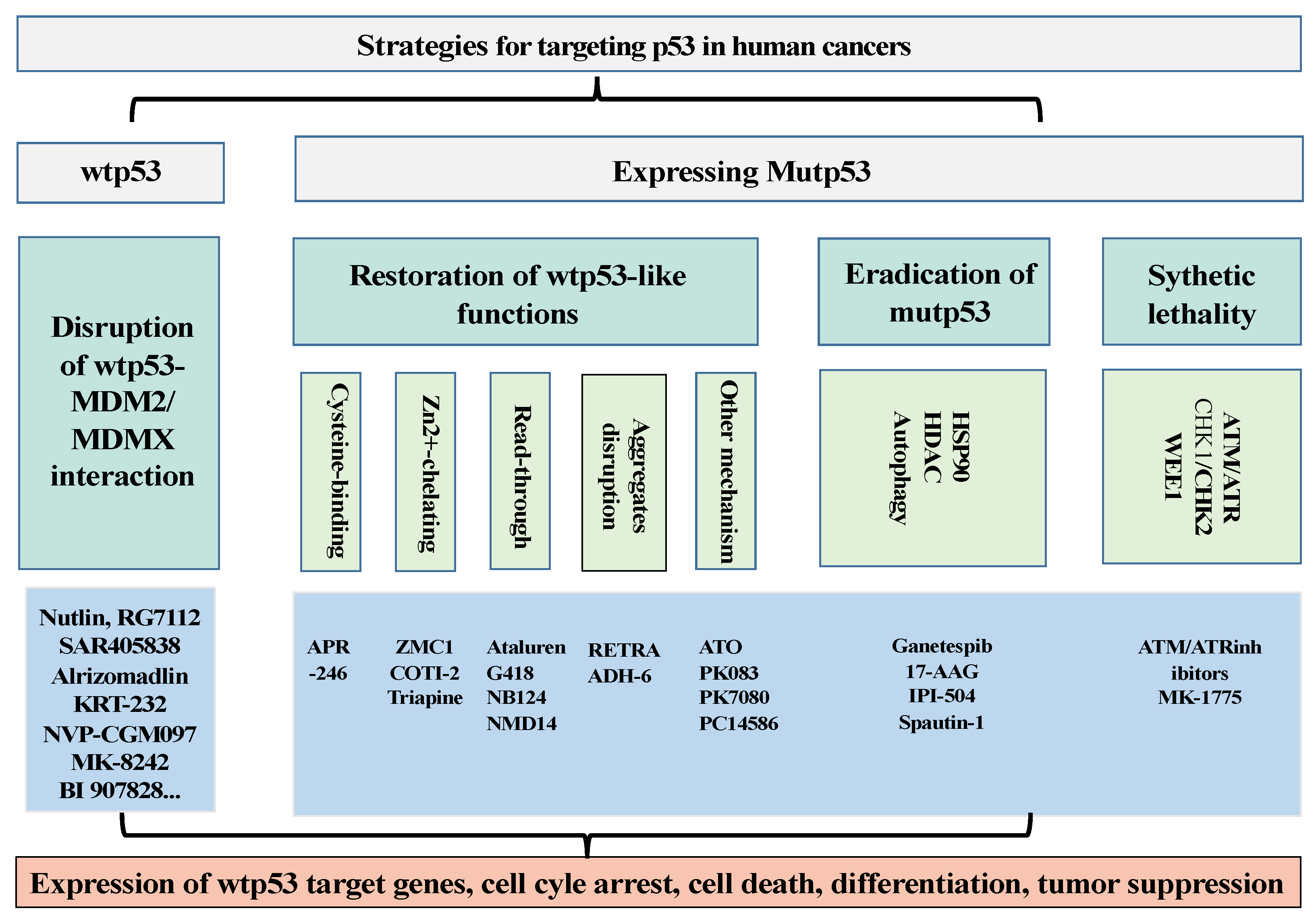 Cancers 15 03560 g001 Cancers 15 03560 g001