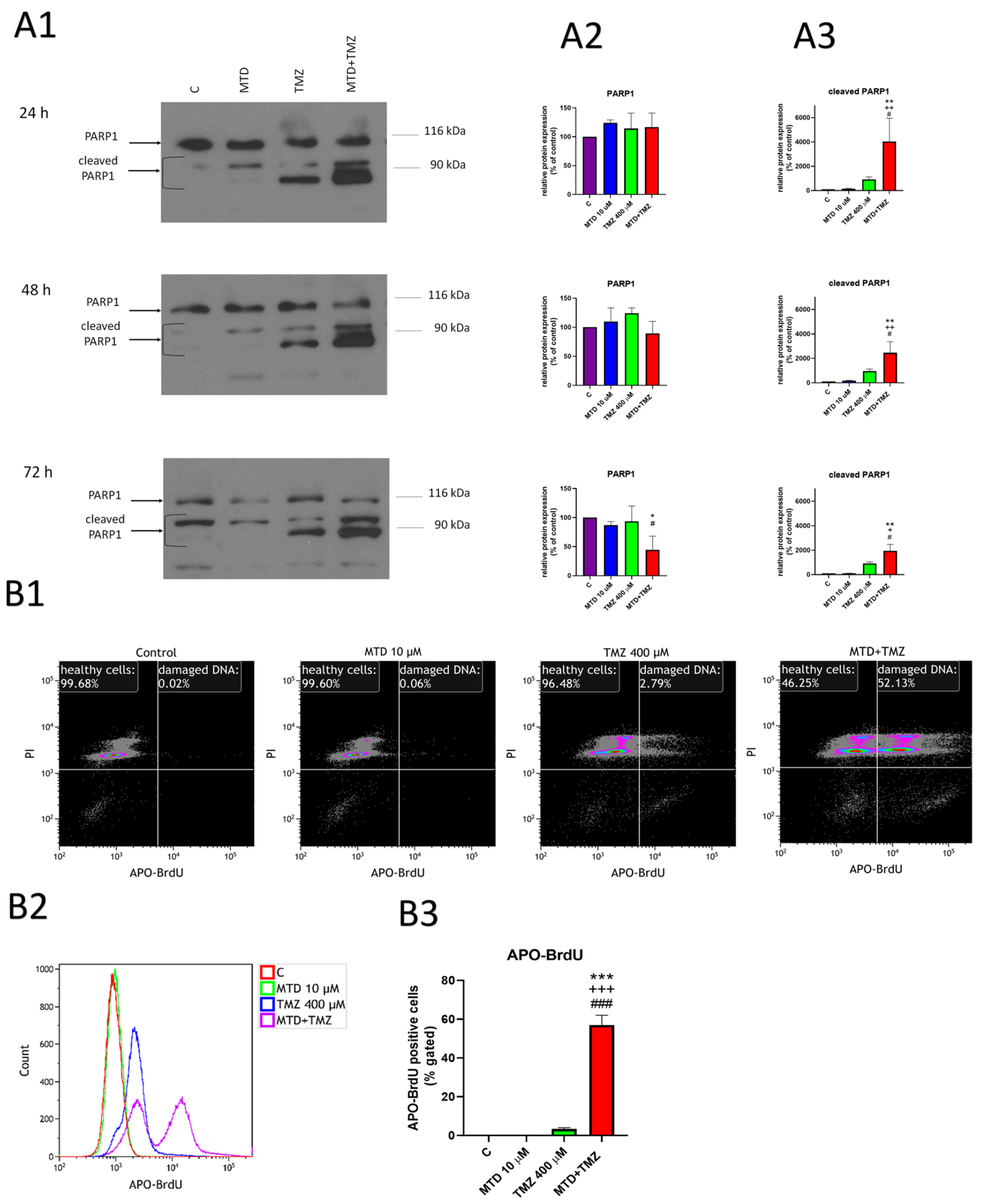 Cancers 15 03567 g004 Cancers 15 03567 g004