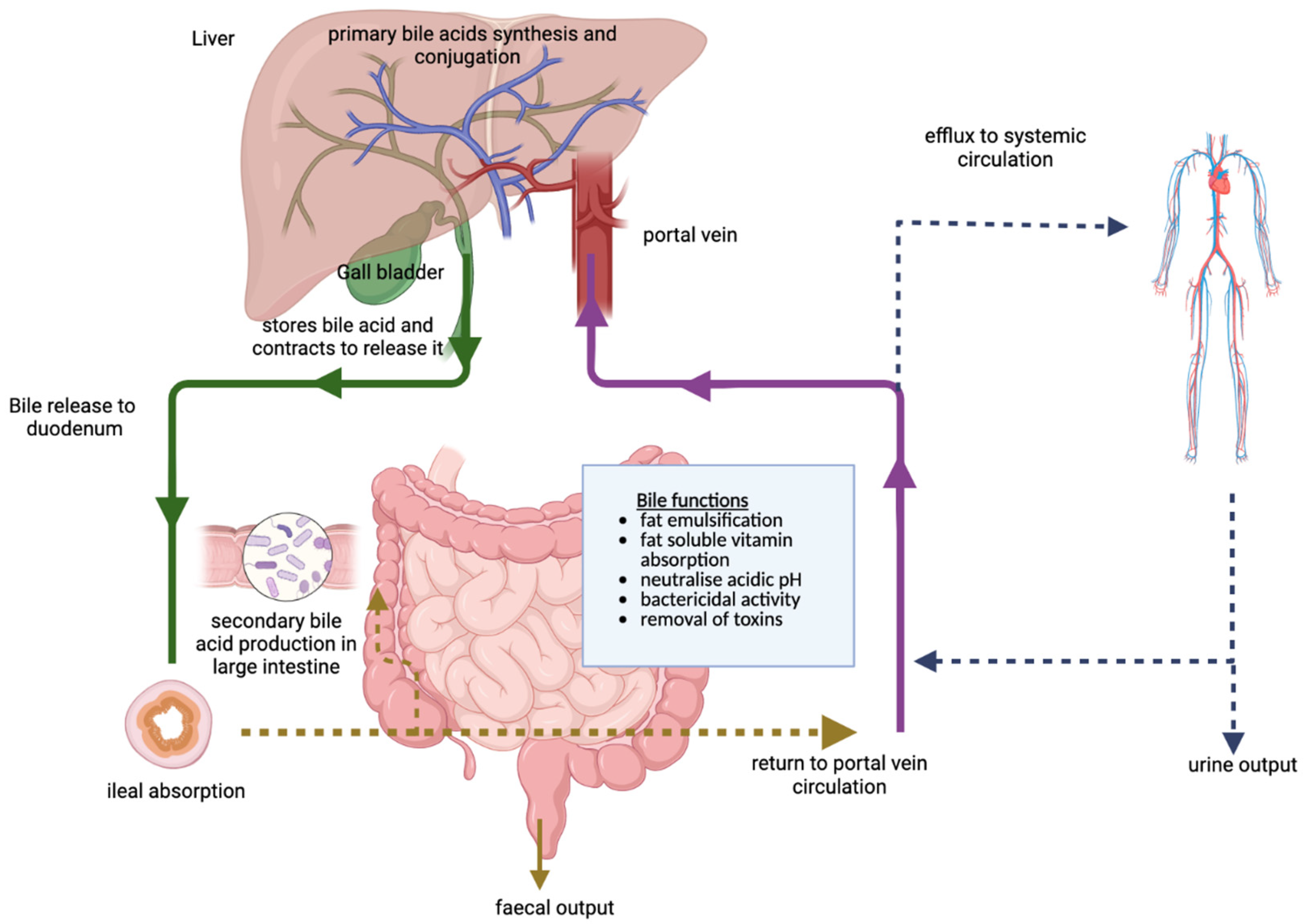 Cancers 15 03573 g002