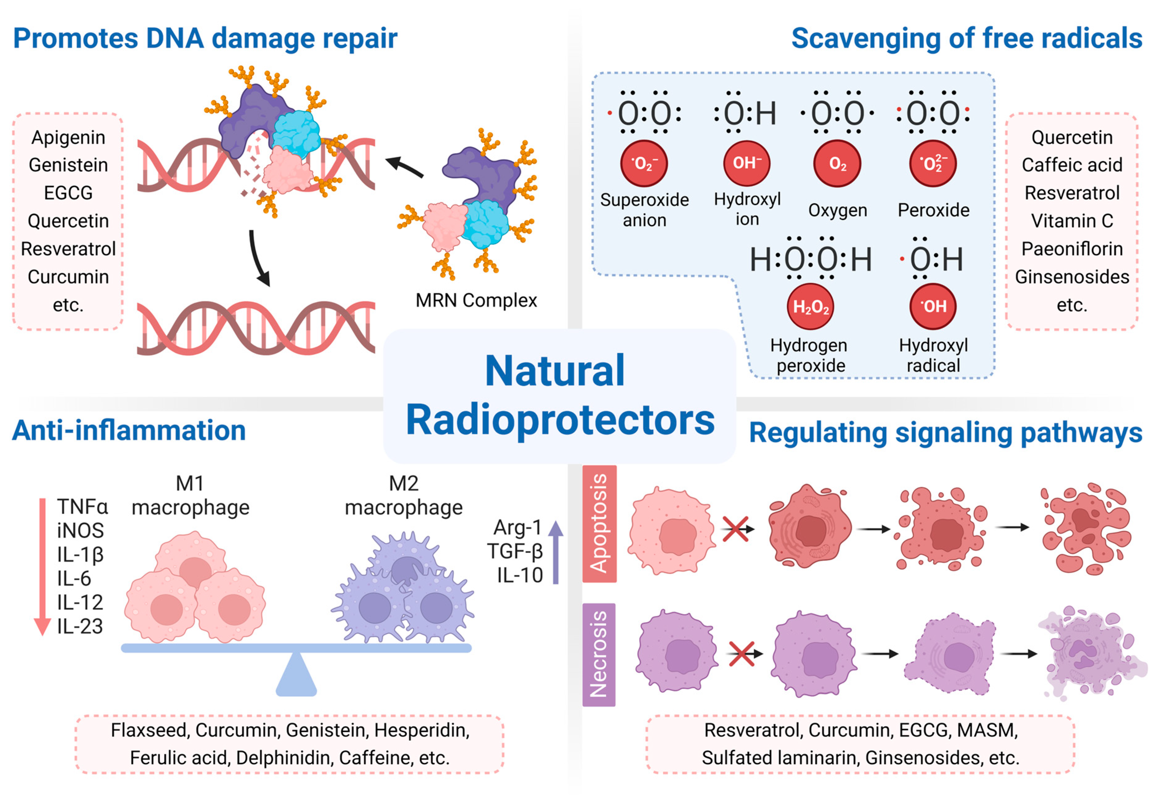 Cancers 15 03585 g002 Cancers 15 03585 g002