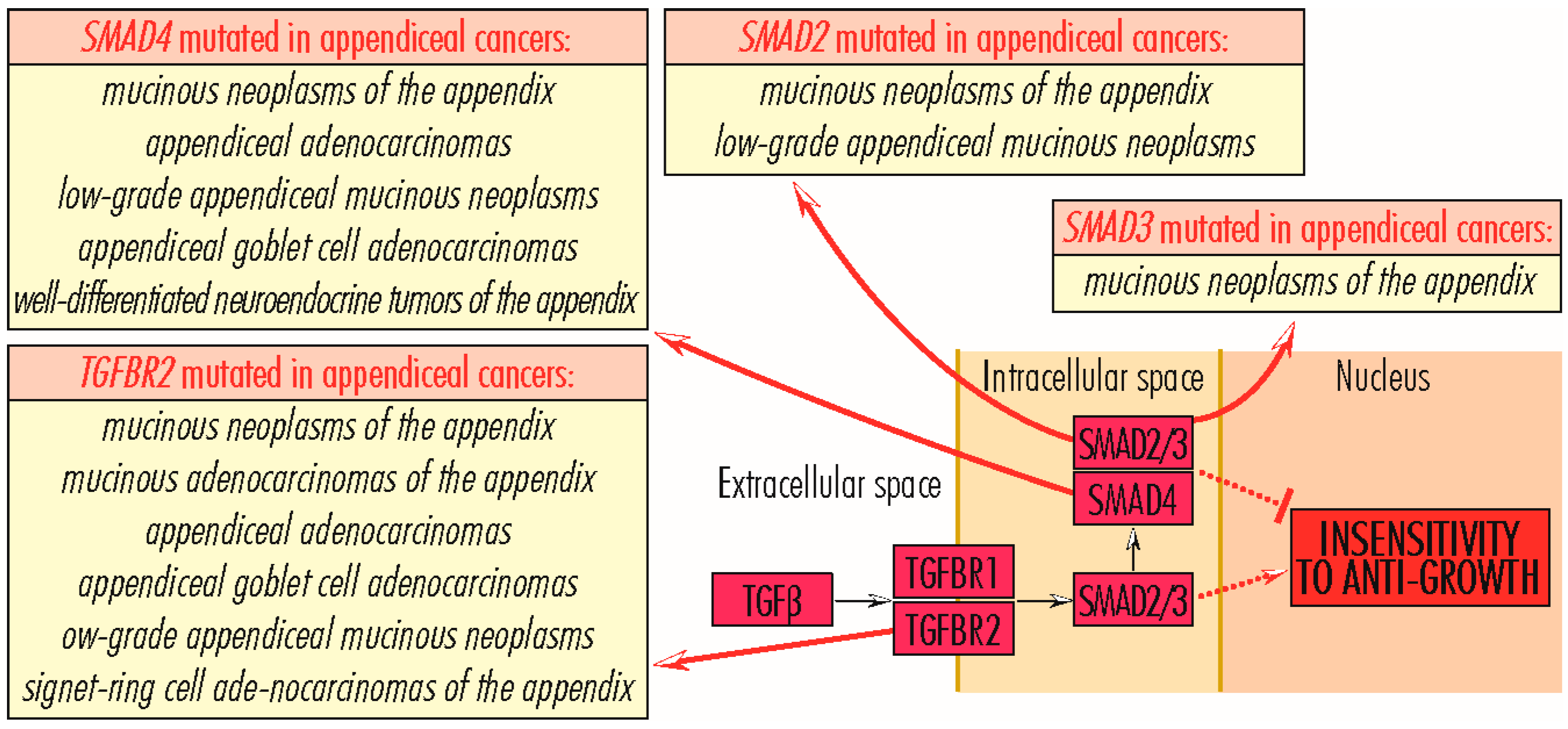 Cancers 15 03591 g008 Cancers 15 03591 g008