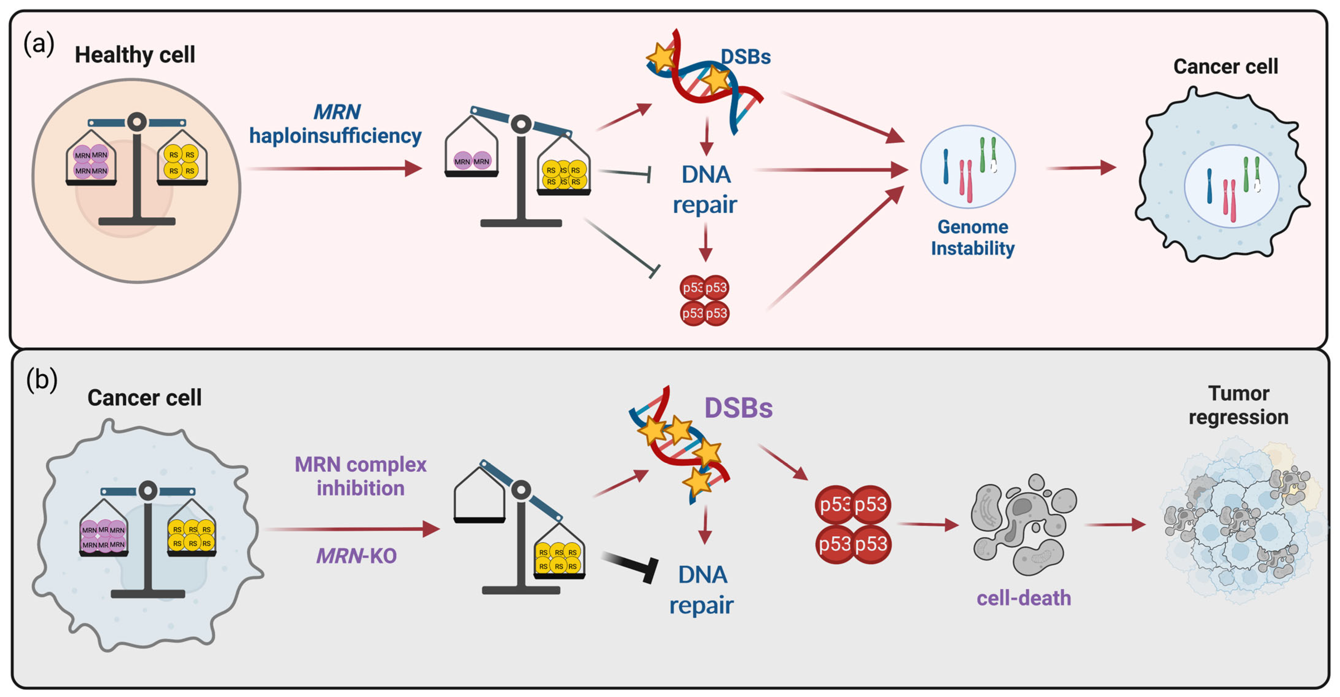 Cancers 15 03599 g005 Cancers 15 03599 g005