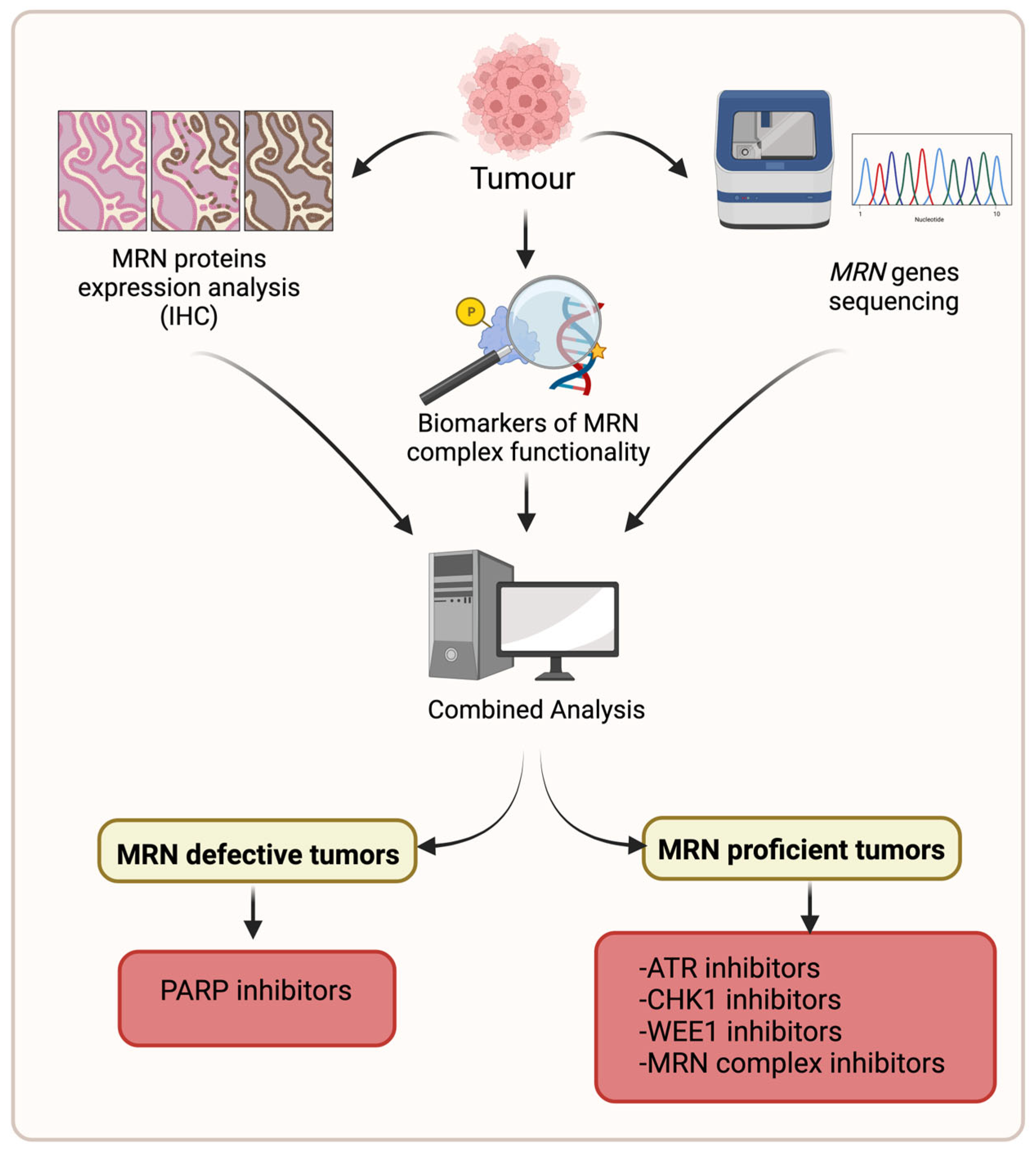 Cancers 15 03599 g006 Cancers 15 03599 g006