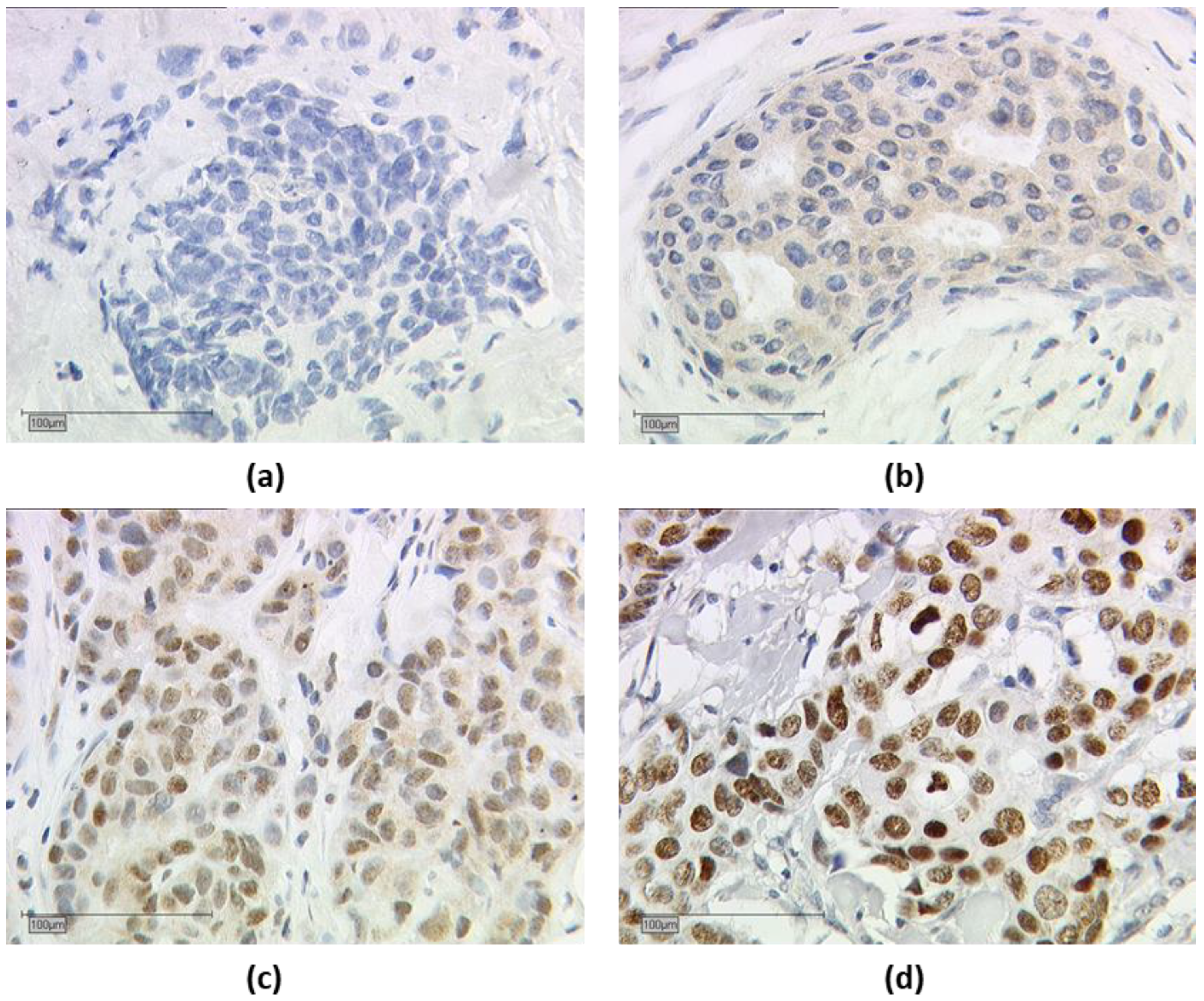 Cancers 15 03610 g002