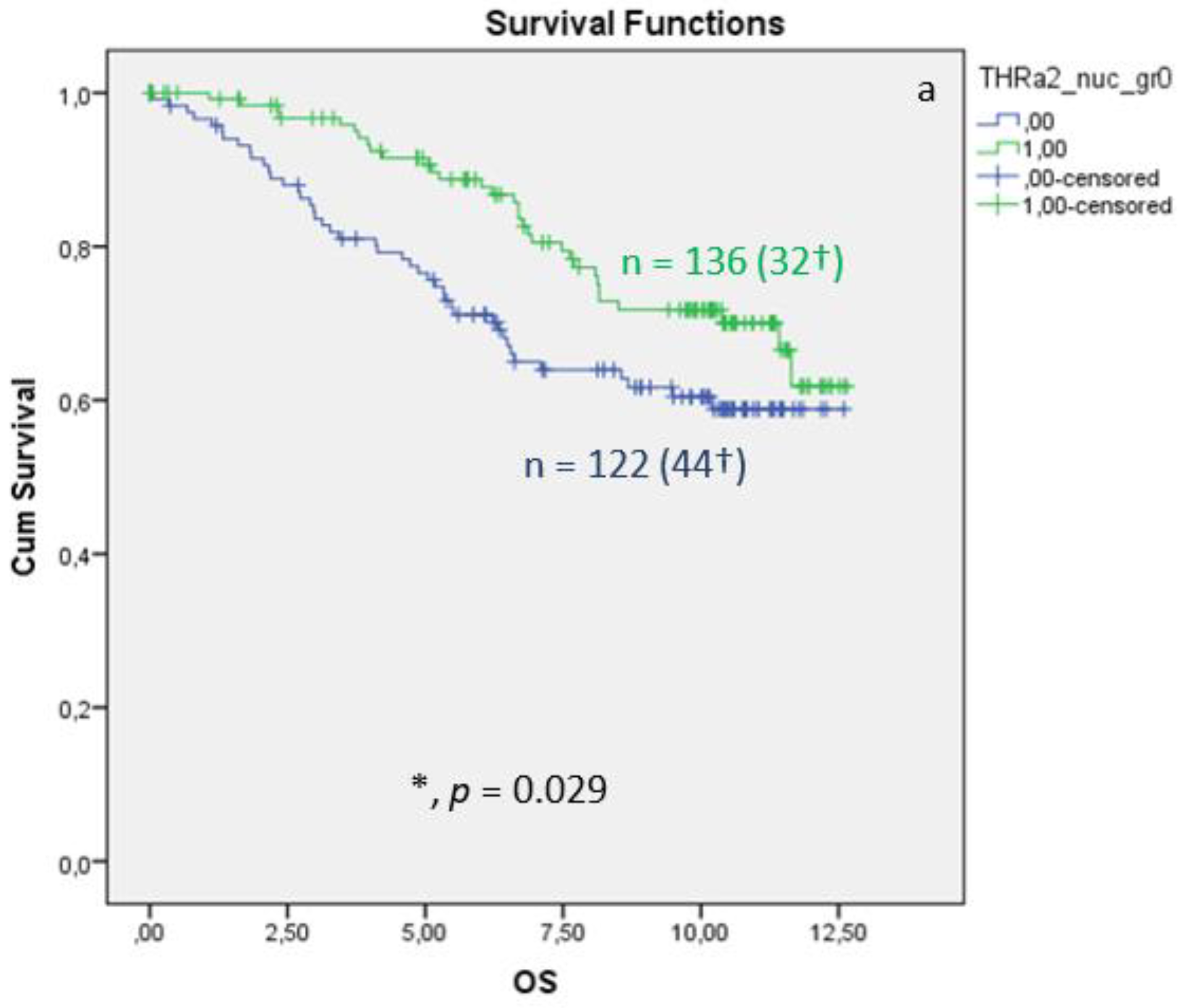 Cancers 15 03610 g004a