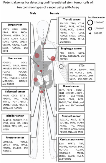 cKBET: assessing goodness of batch effect correction for single-cell RNA-seq