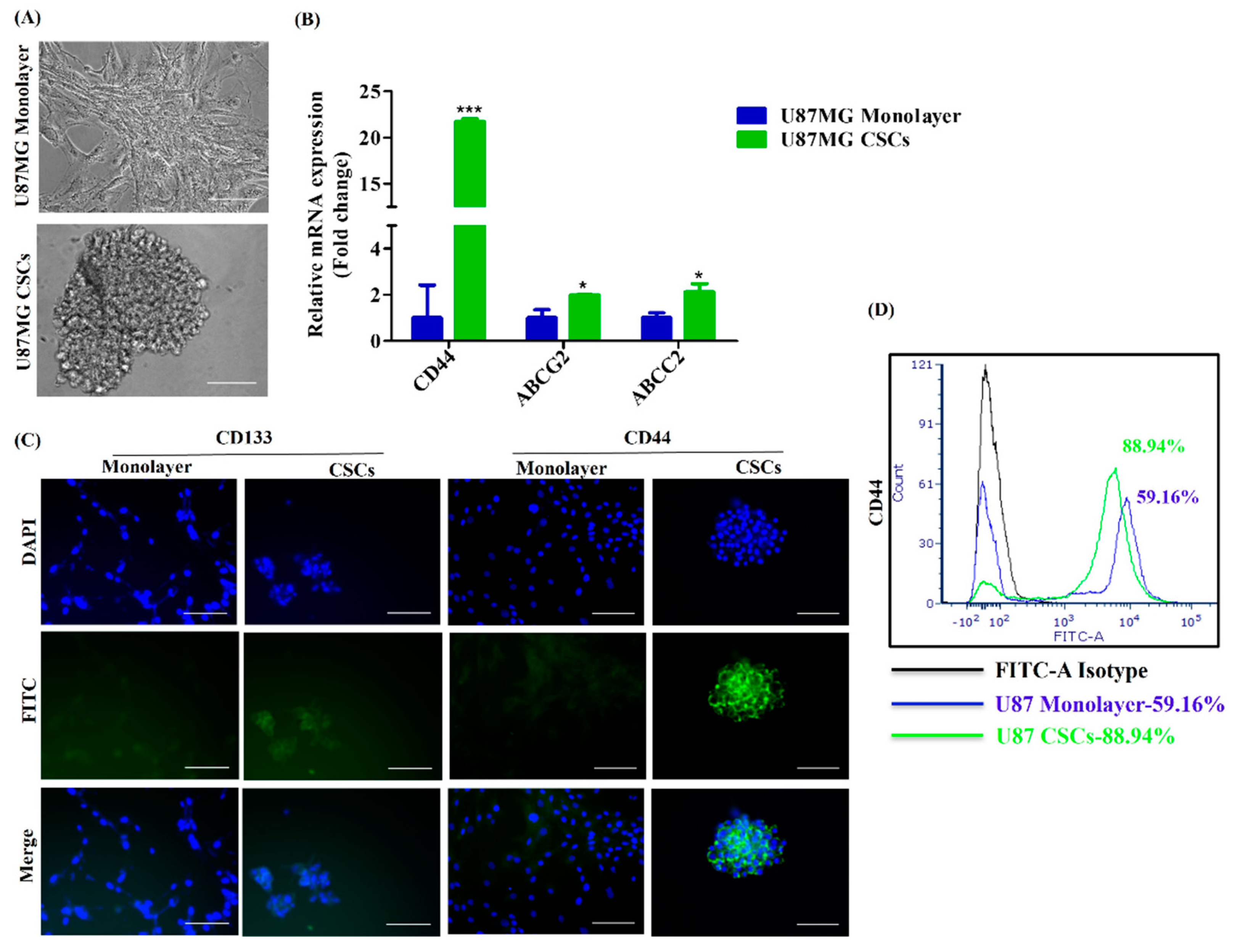 Cancers 15 03622 g004