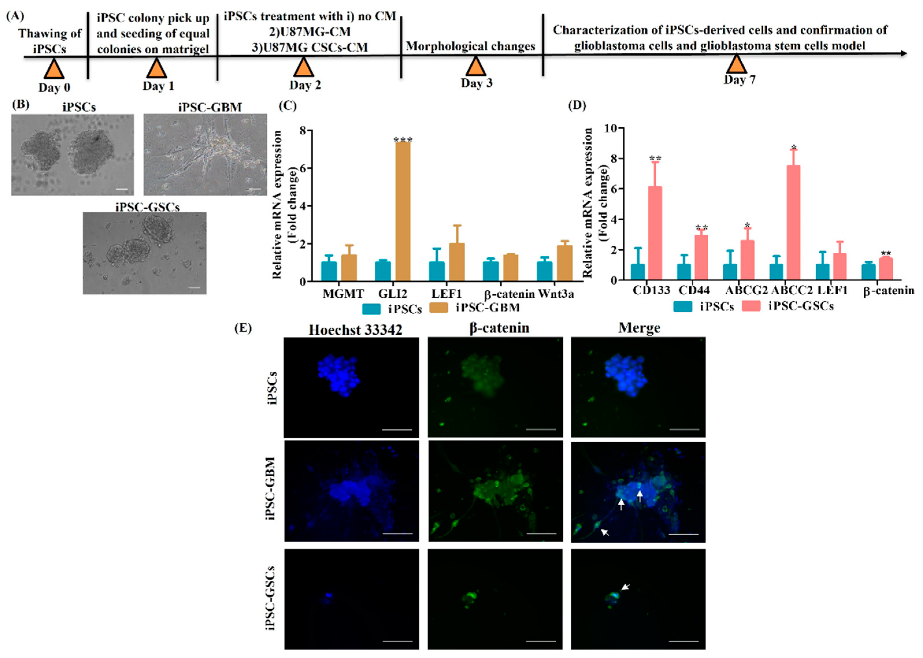 Cancers 15 03622 g005