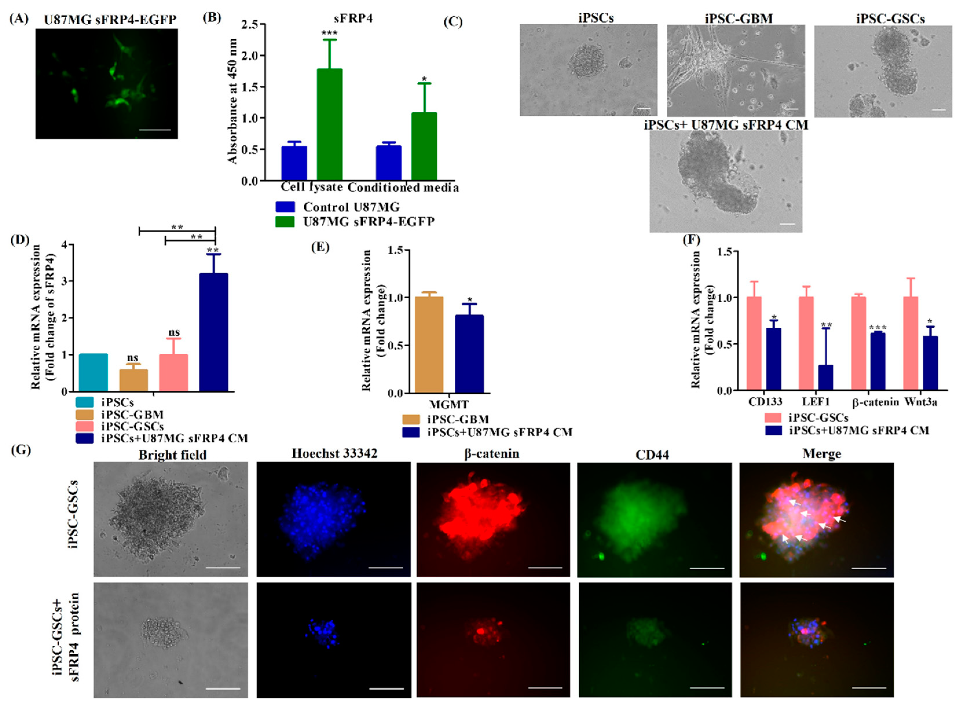 Cancers 15 03622 g006