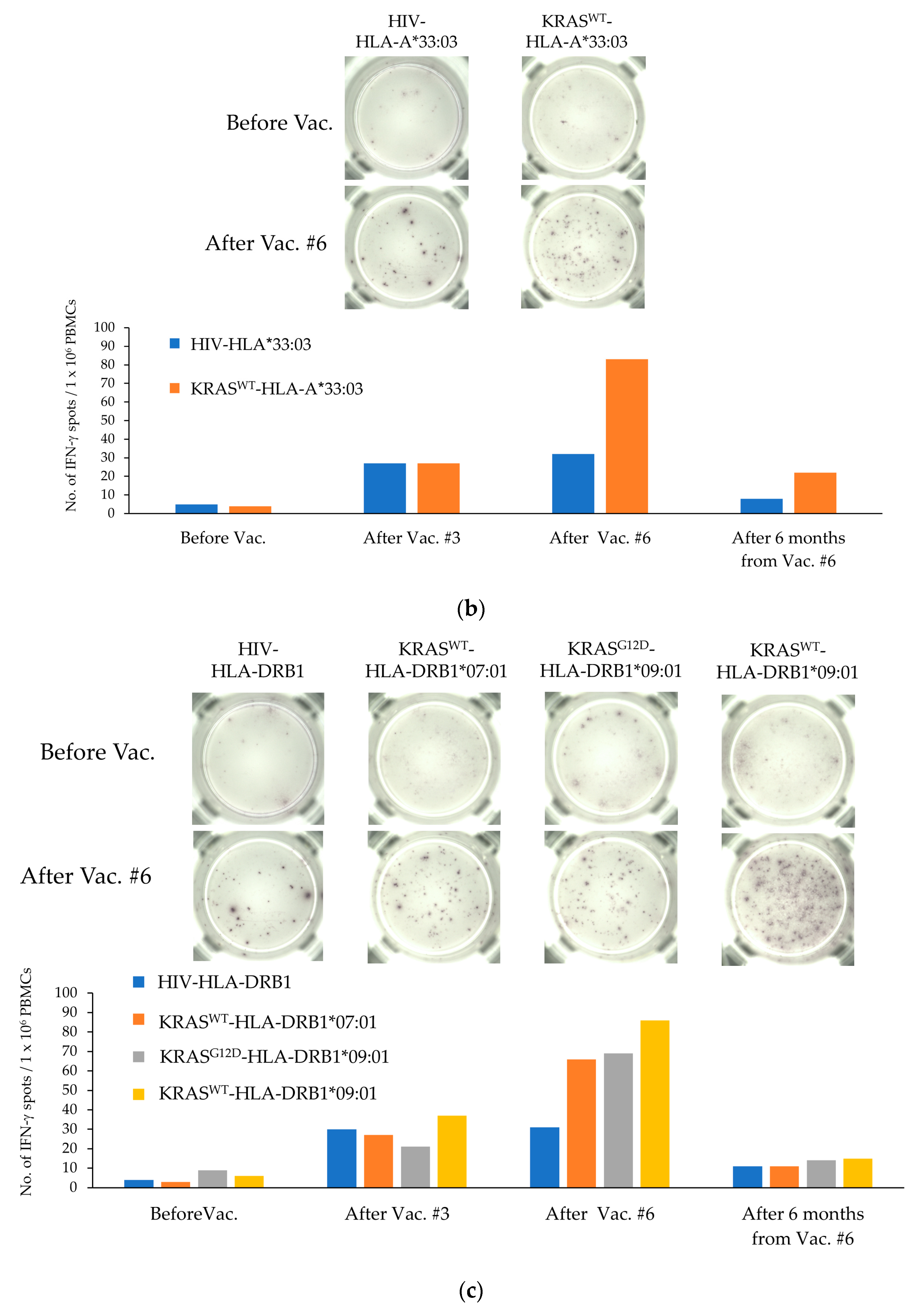 Cancers 15 03627 g001b Cancers 15 03627 g001b