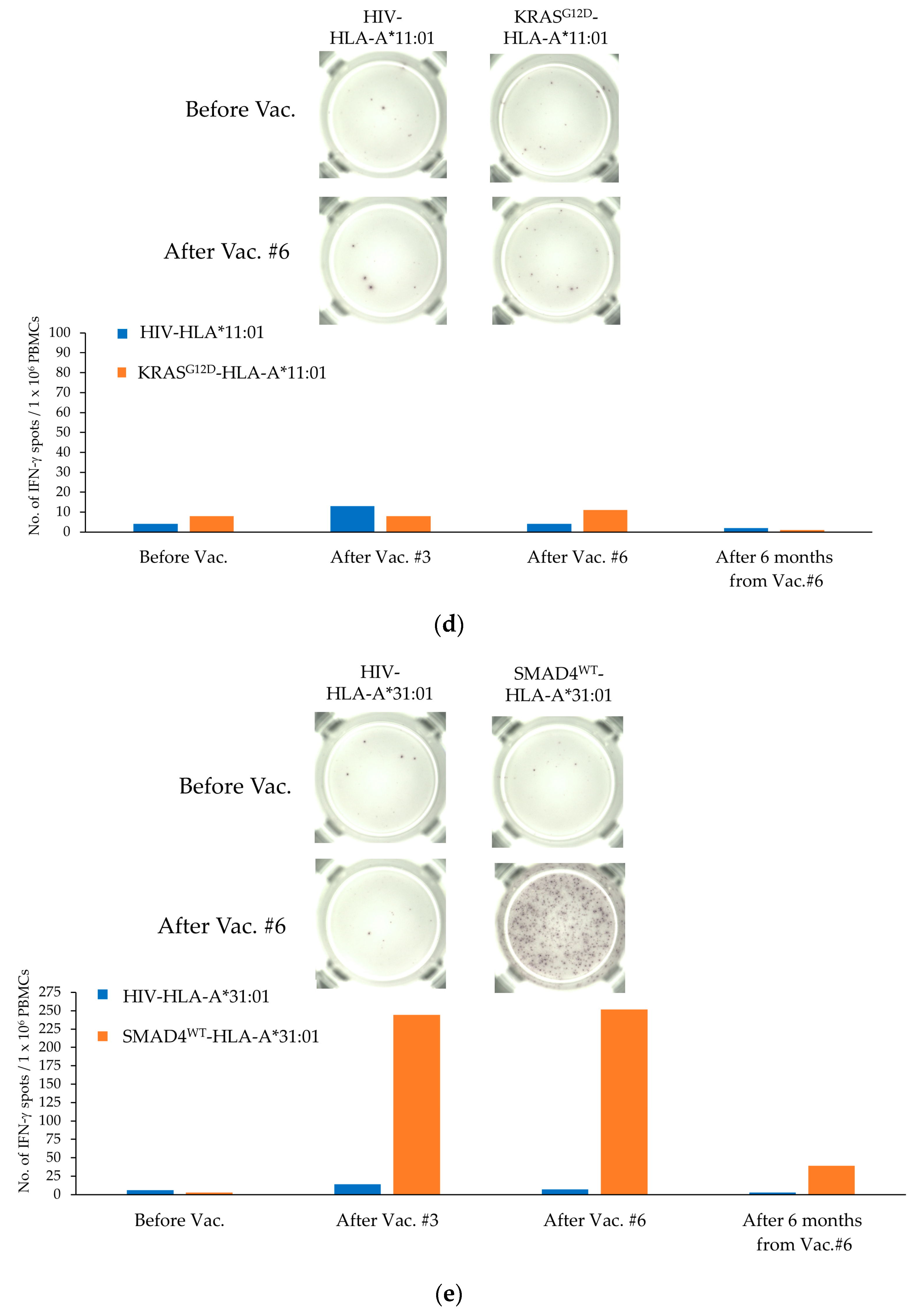 Cancers 15 03627 g001c Cancers 15 03627 g001c