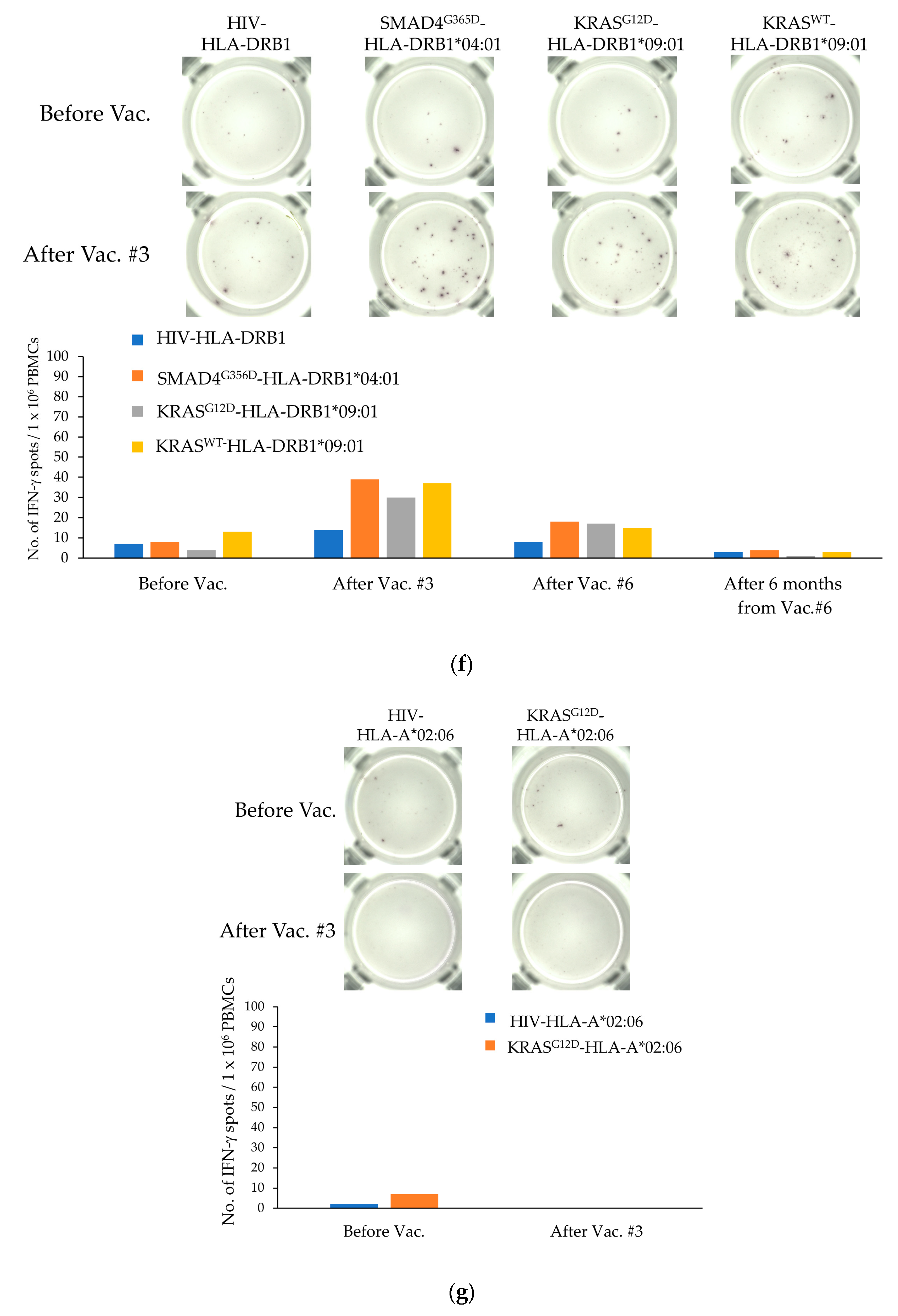 Cancers 15 03627 g001d Cancers 15 03627 g001d