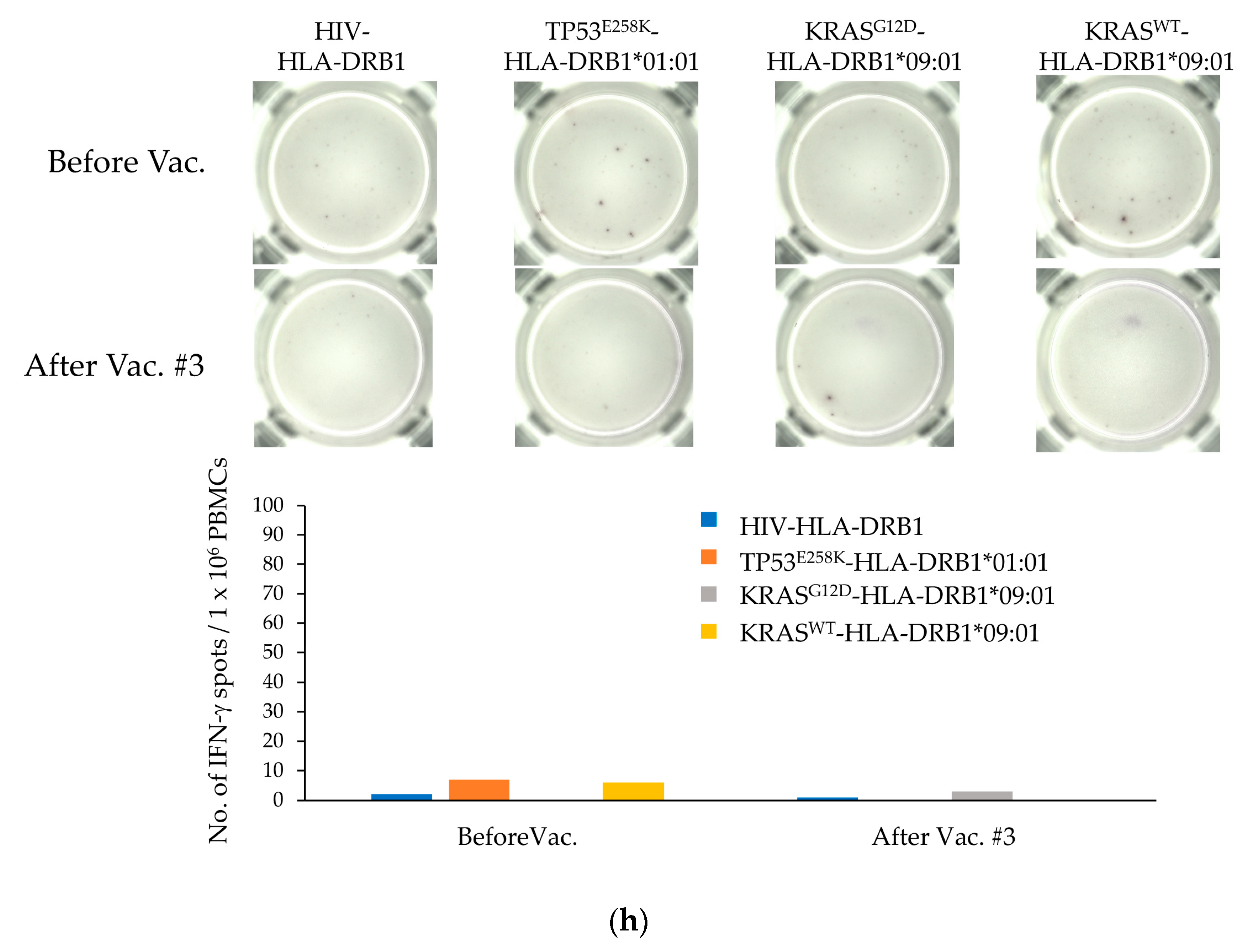 Cancers 15 03627 g001e Cancers 15 03627 g001e