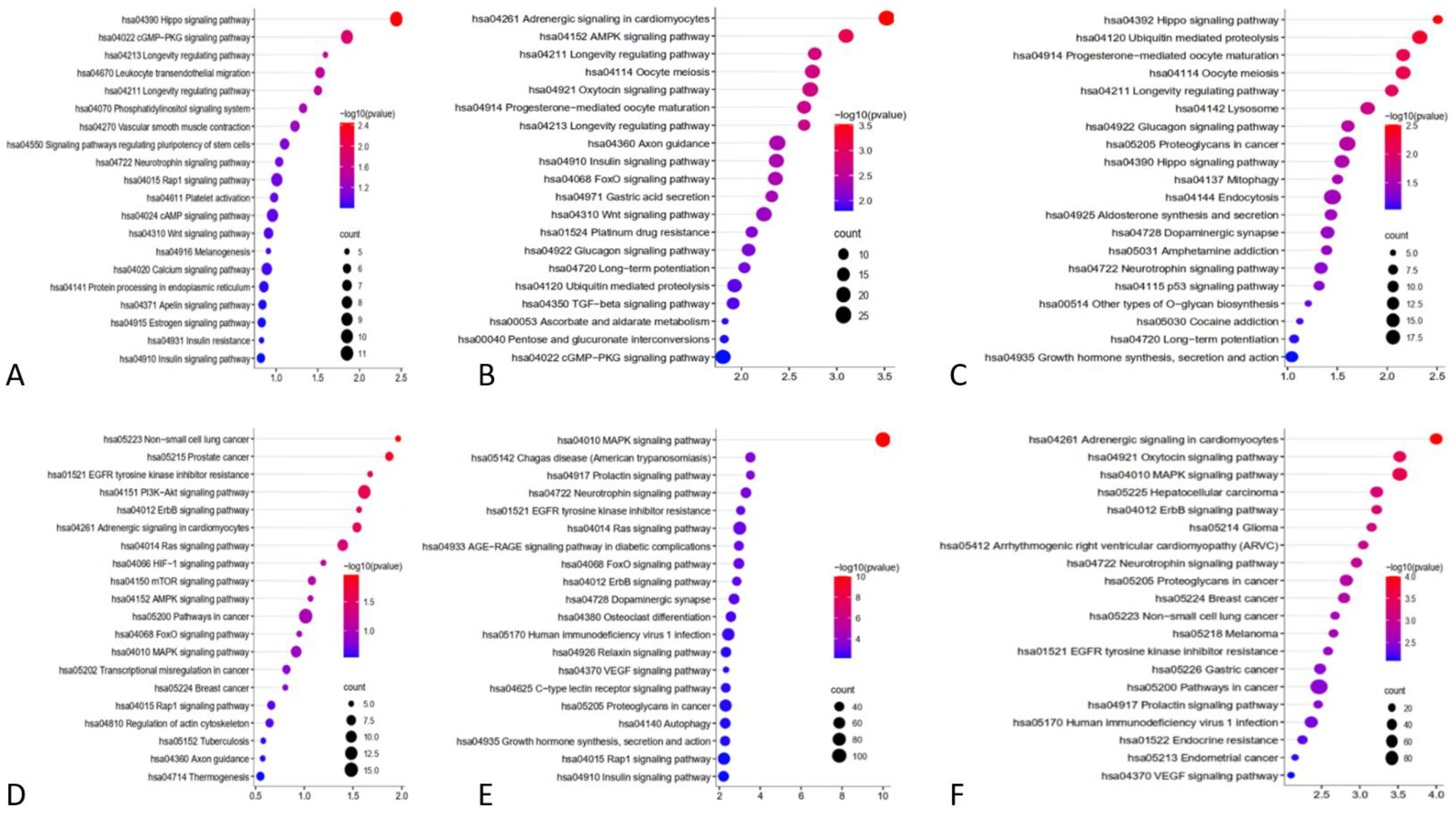 Cancers 15 03628 g002 Cancers 15 03628 g002