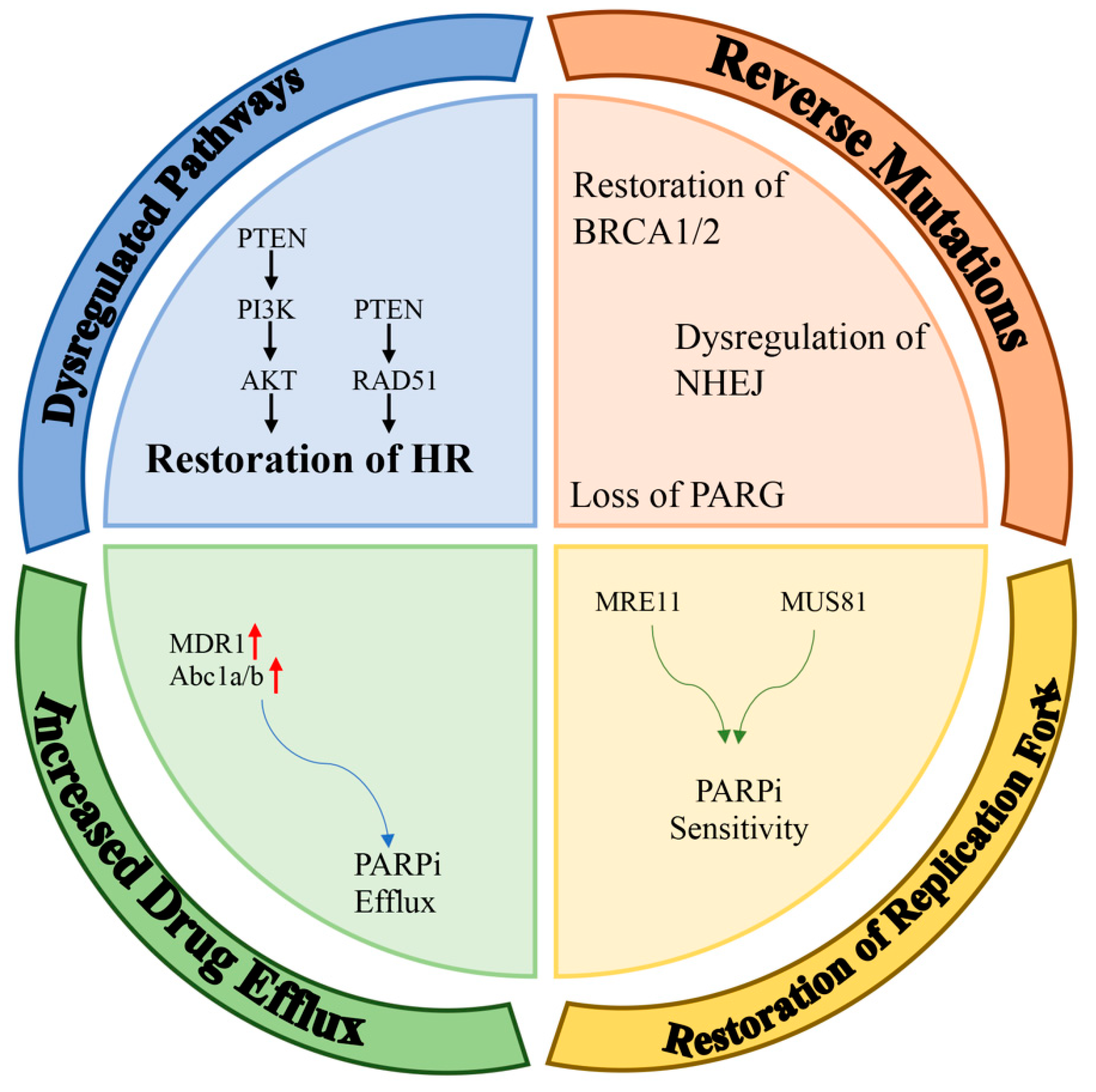 Cancers 15 03642 g002 Cancers 15 03642 g002