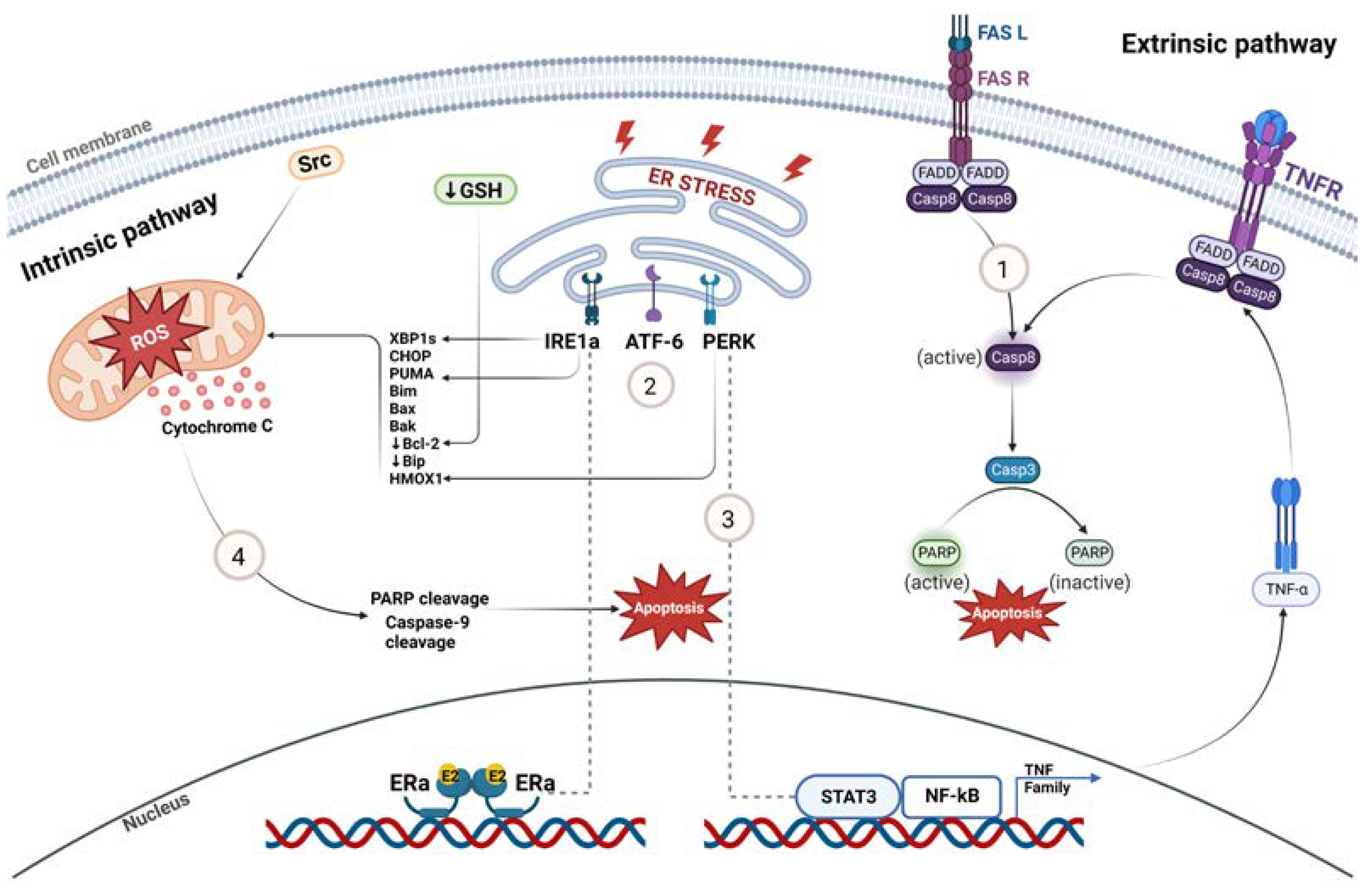 Cancers 15 03647 g002 Cancers 15 03647 g002