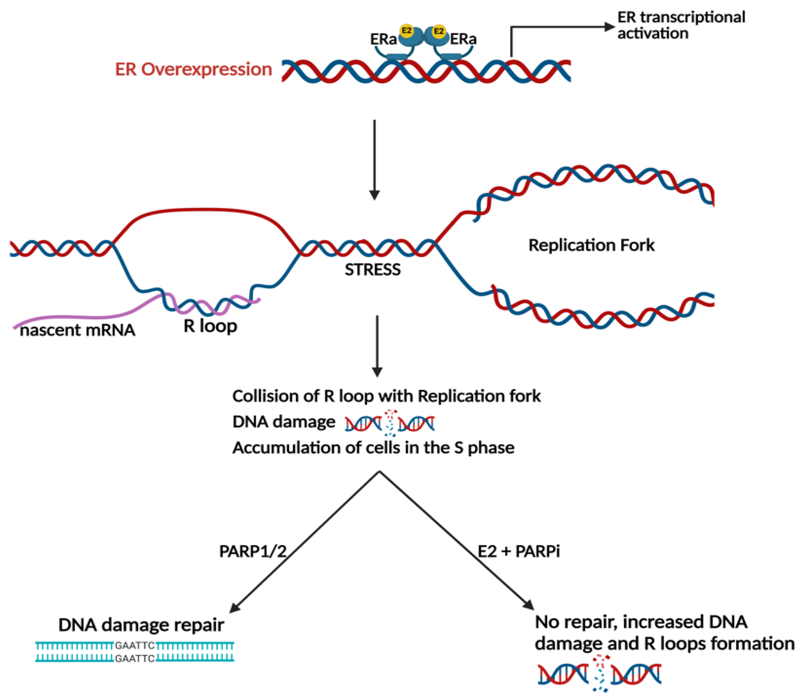 Cancers 15 03647 g003 Cancers 15 03647 g003