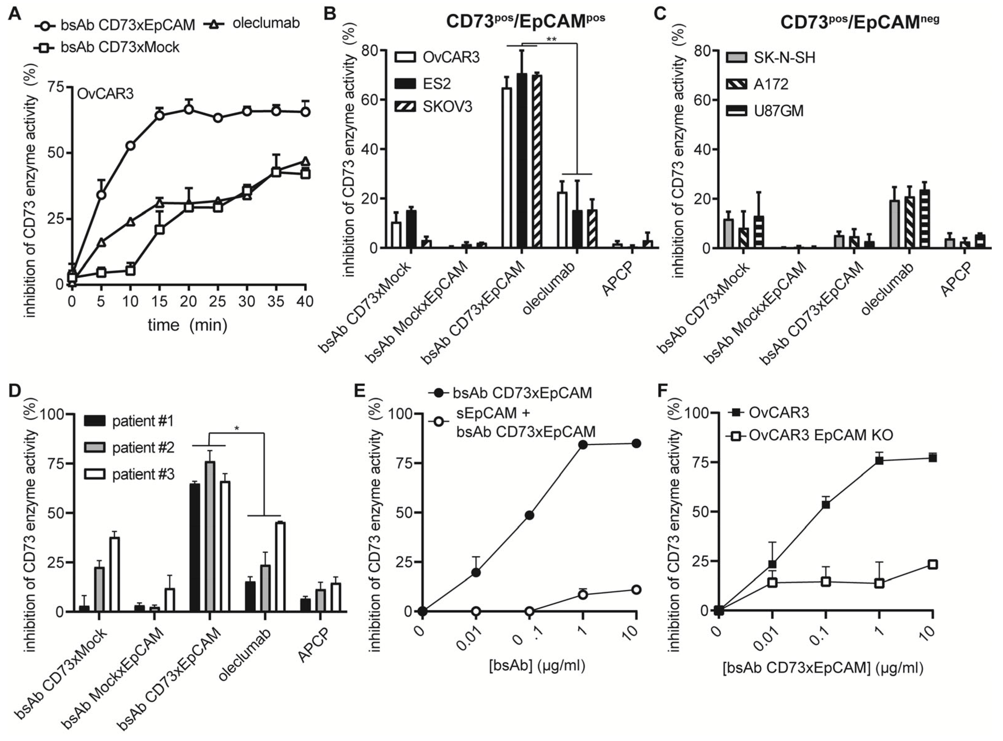 Cancers 15 03651 g002 Cancers 15 03651 g002
