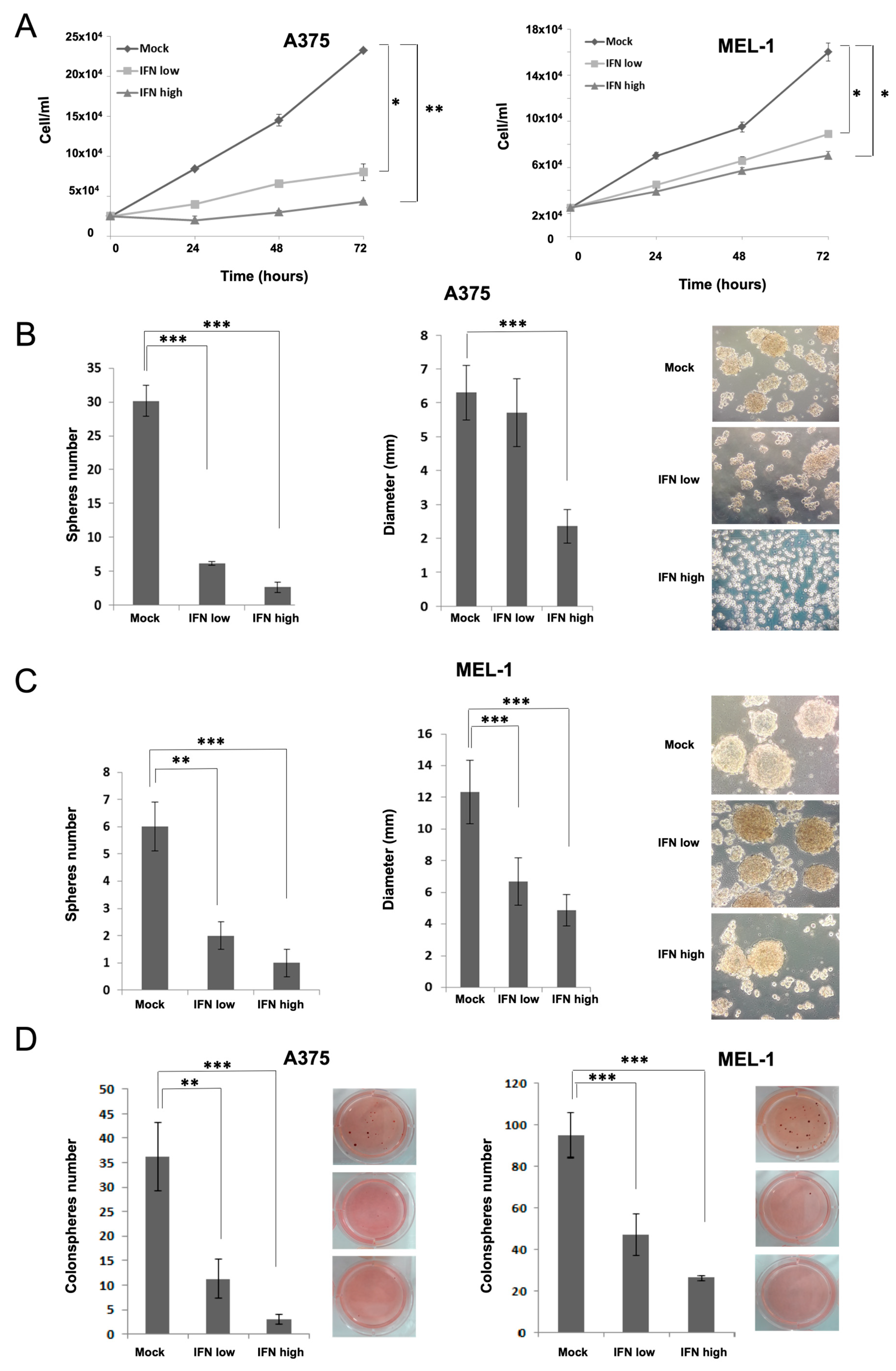 Cancers 15 03666 g001