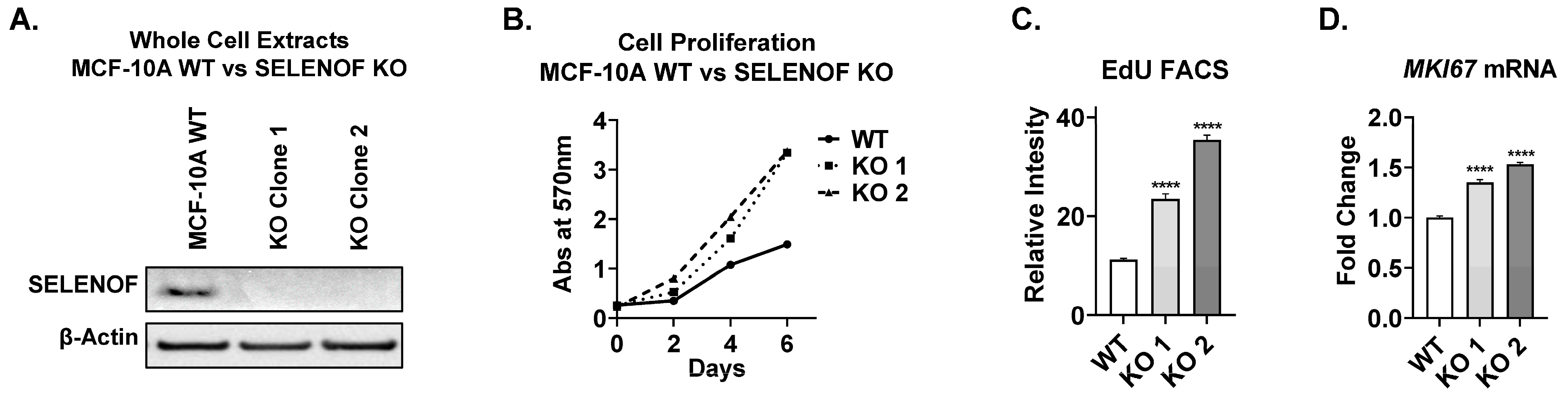 Cancers 15 03671 g001 Cancers 15 03671 g001