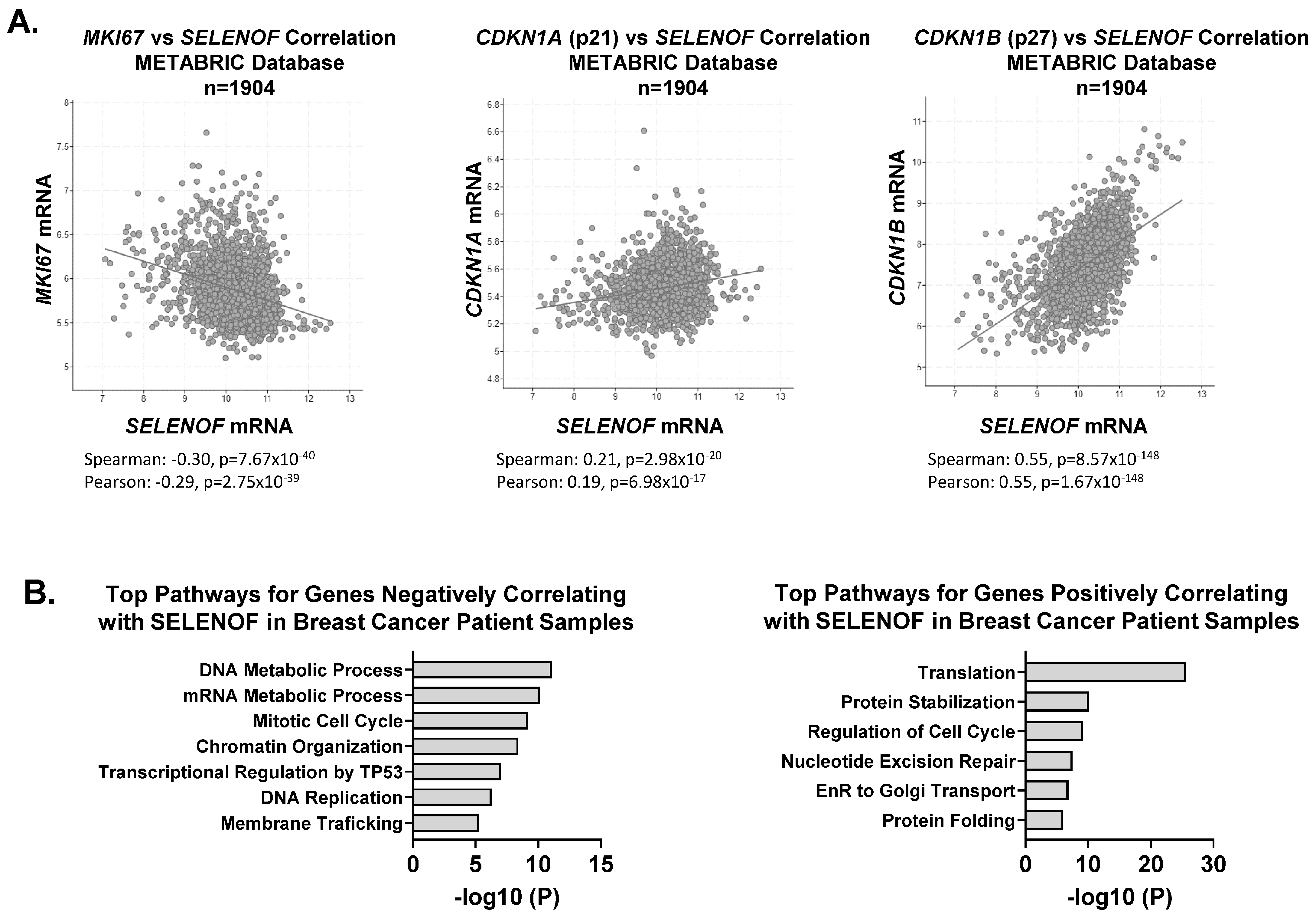 Cancers 15 03671 g004 Cancers 15 03671 g004