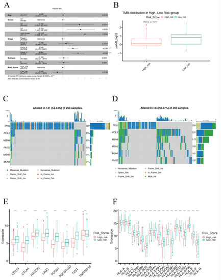 Prediction of Prognosis, Immunotherapy and Chemotherapy with