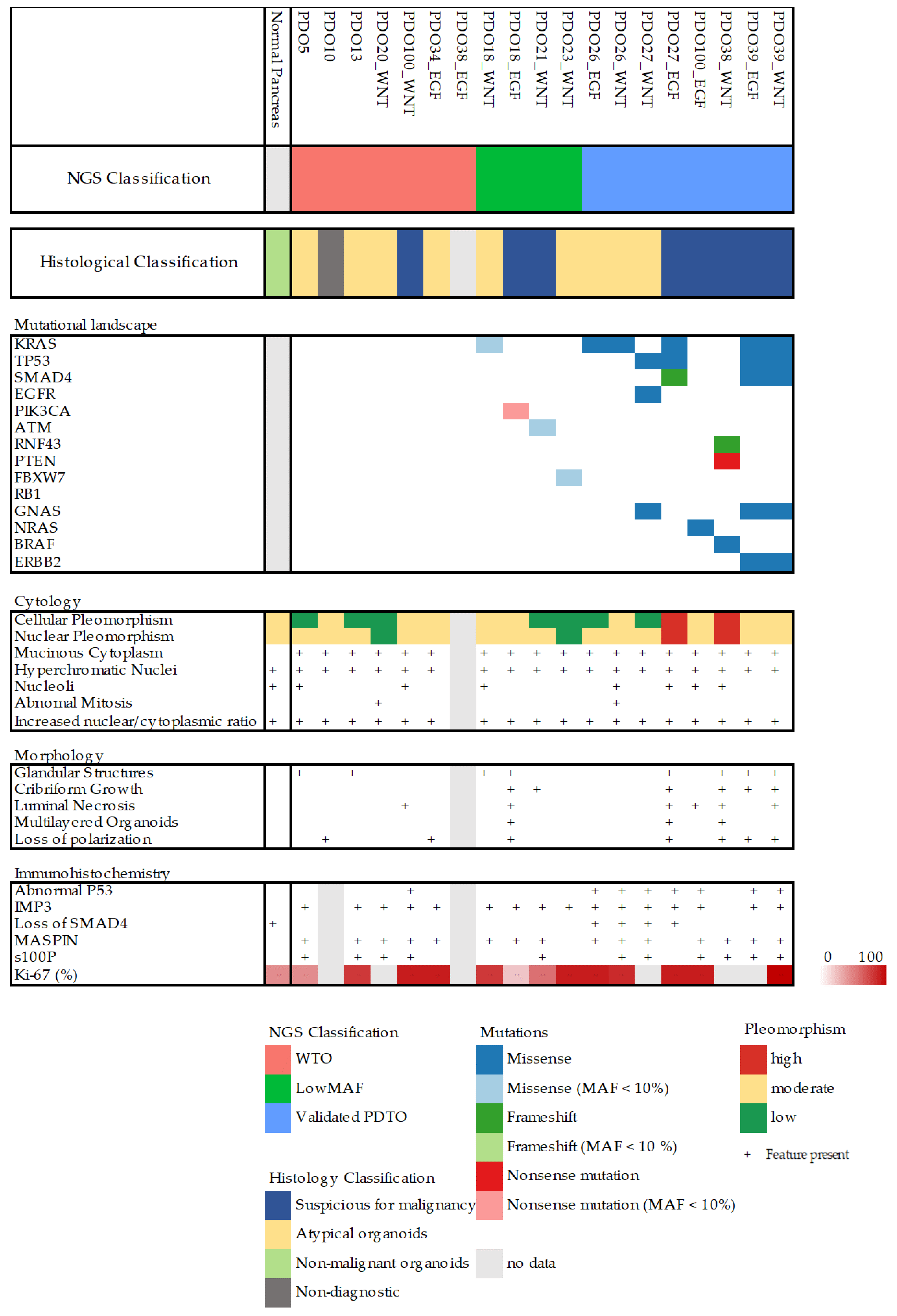 Cancers 15 03677 g002