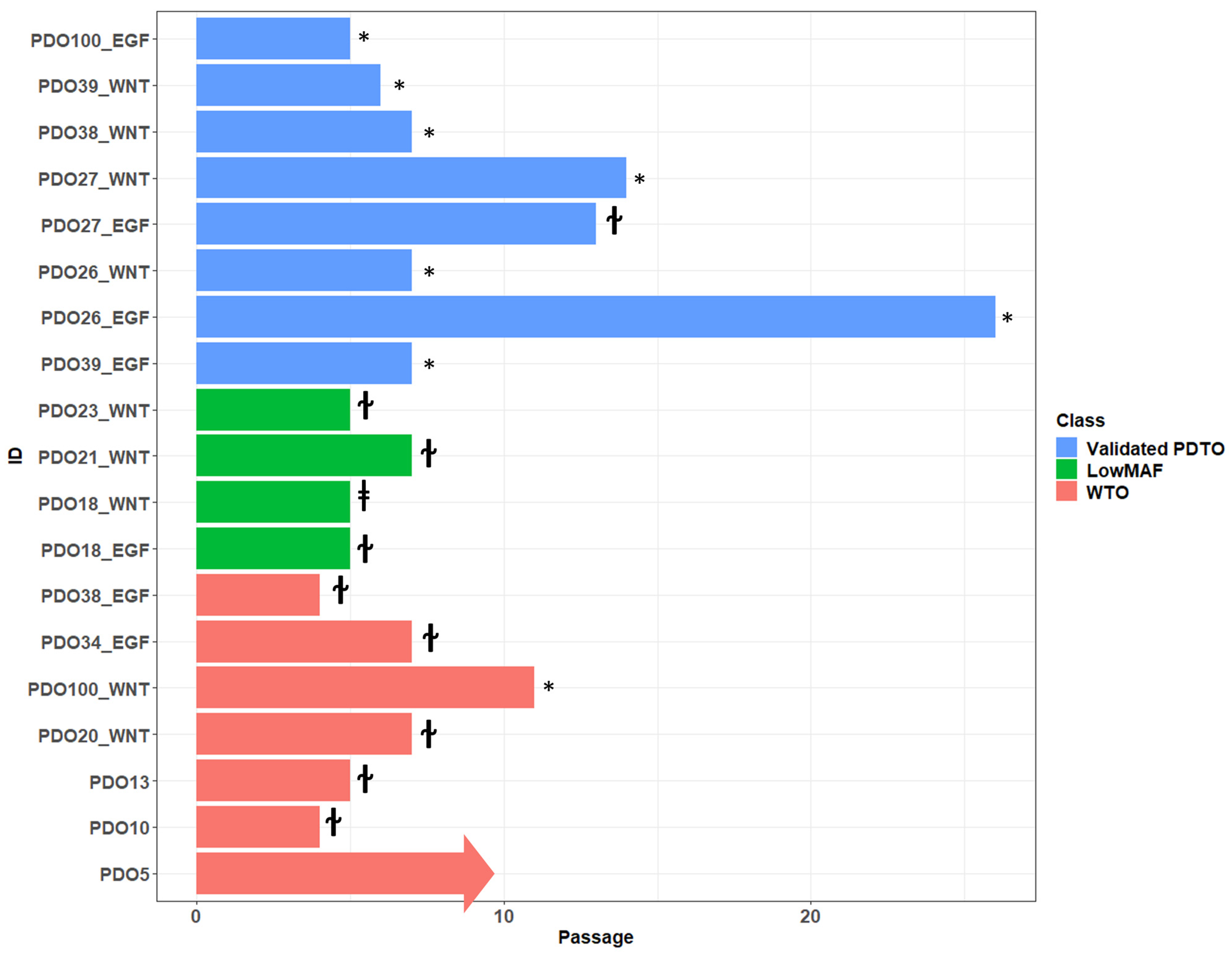 Cancers 15 03677 g005