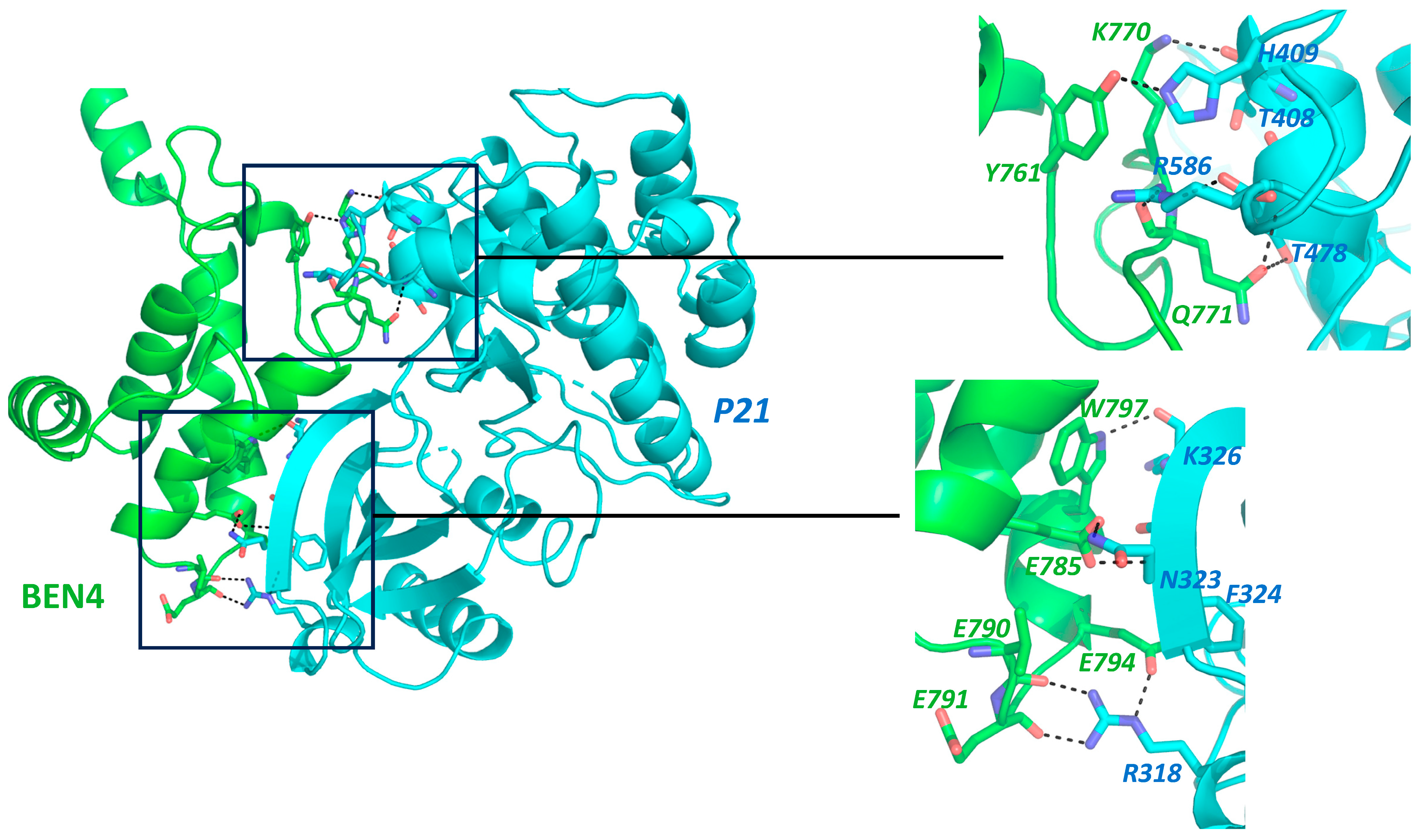 Cancers 15 03685 g002 Cancers 15 03685 g002