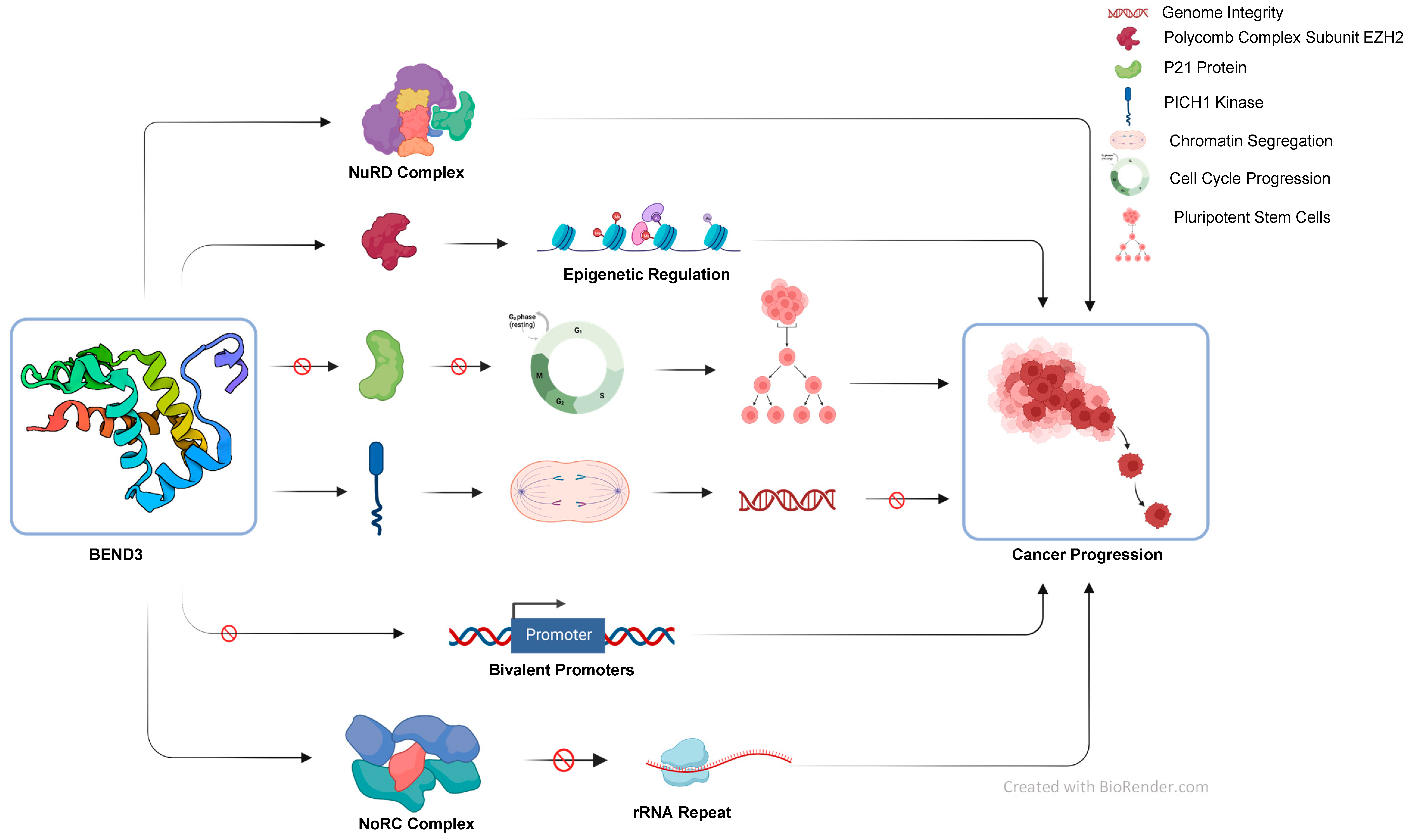 Cancers 15 03685 g003 Cancers 15 03685 g003