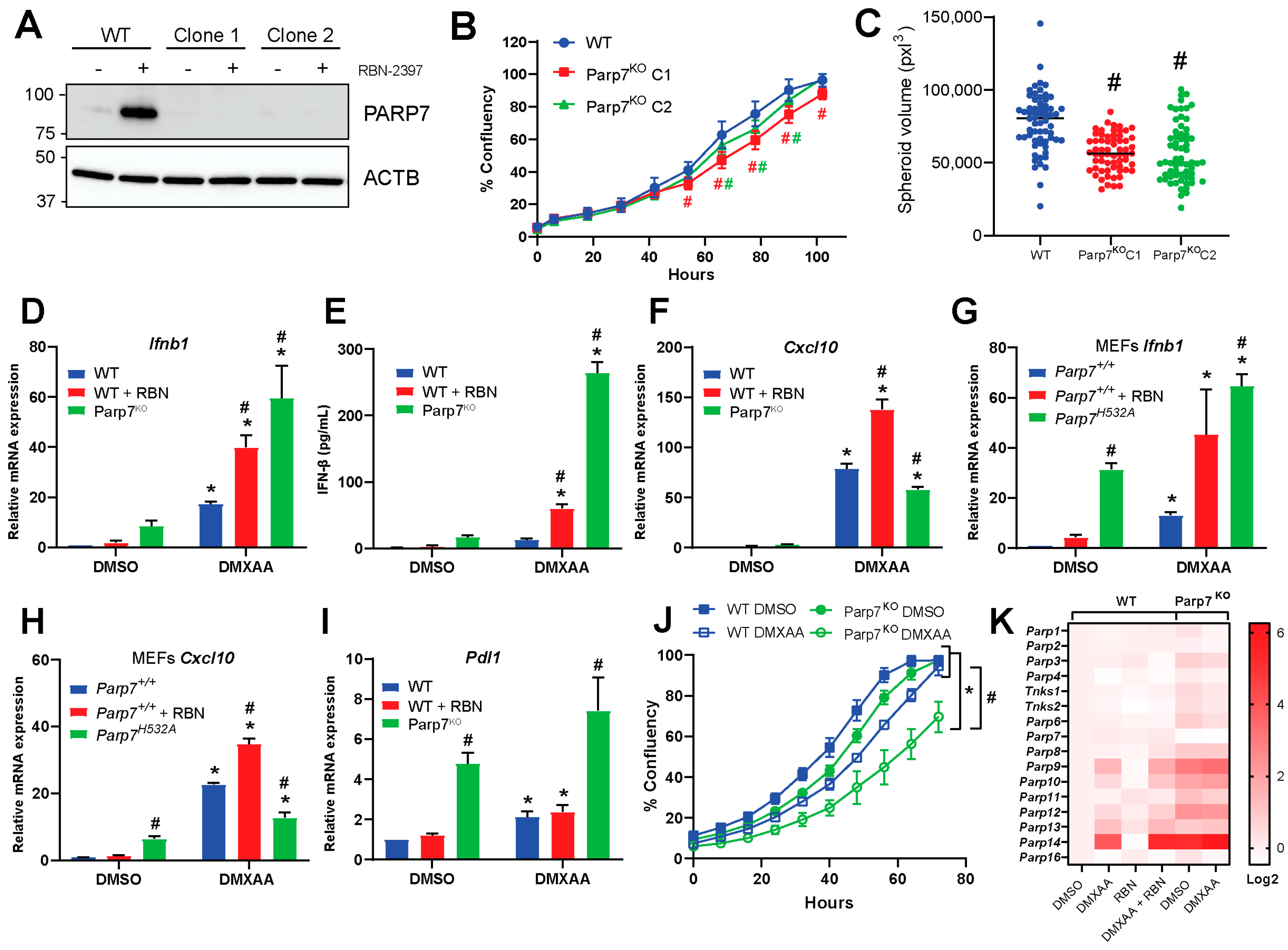 Cancers 15 03689 g002 Cancers 15 03689 g002