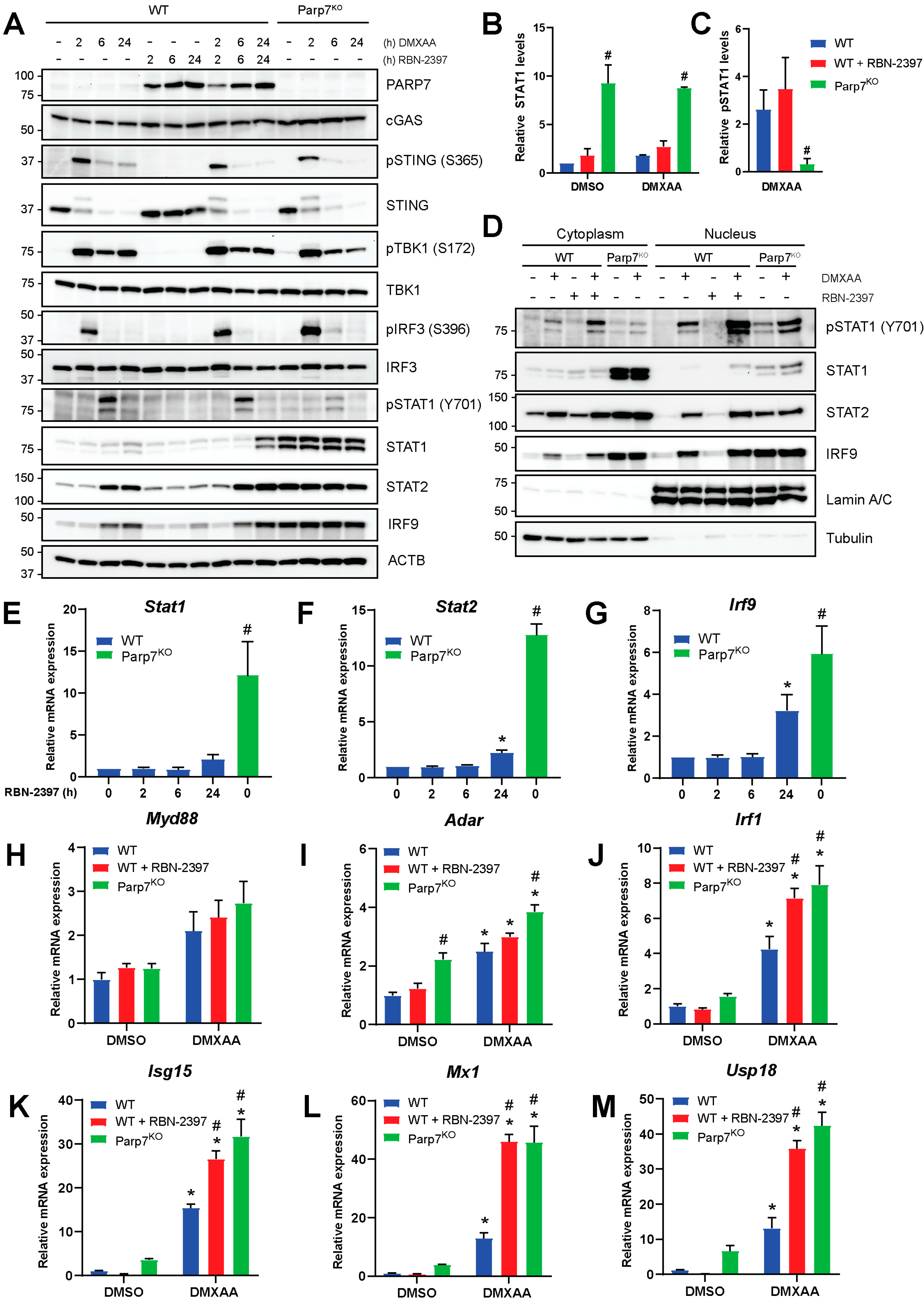 Cancers 15 03689 g003 Cancers 15 03689 g003