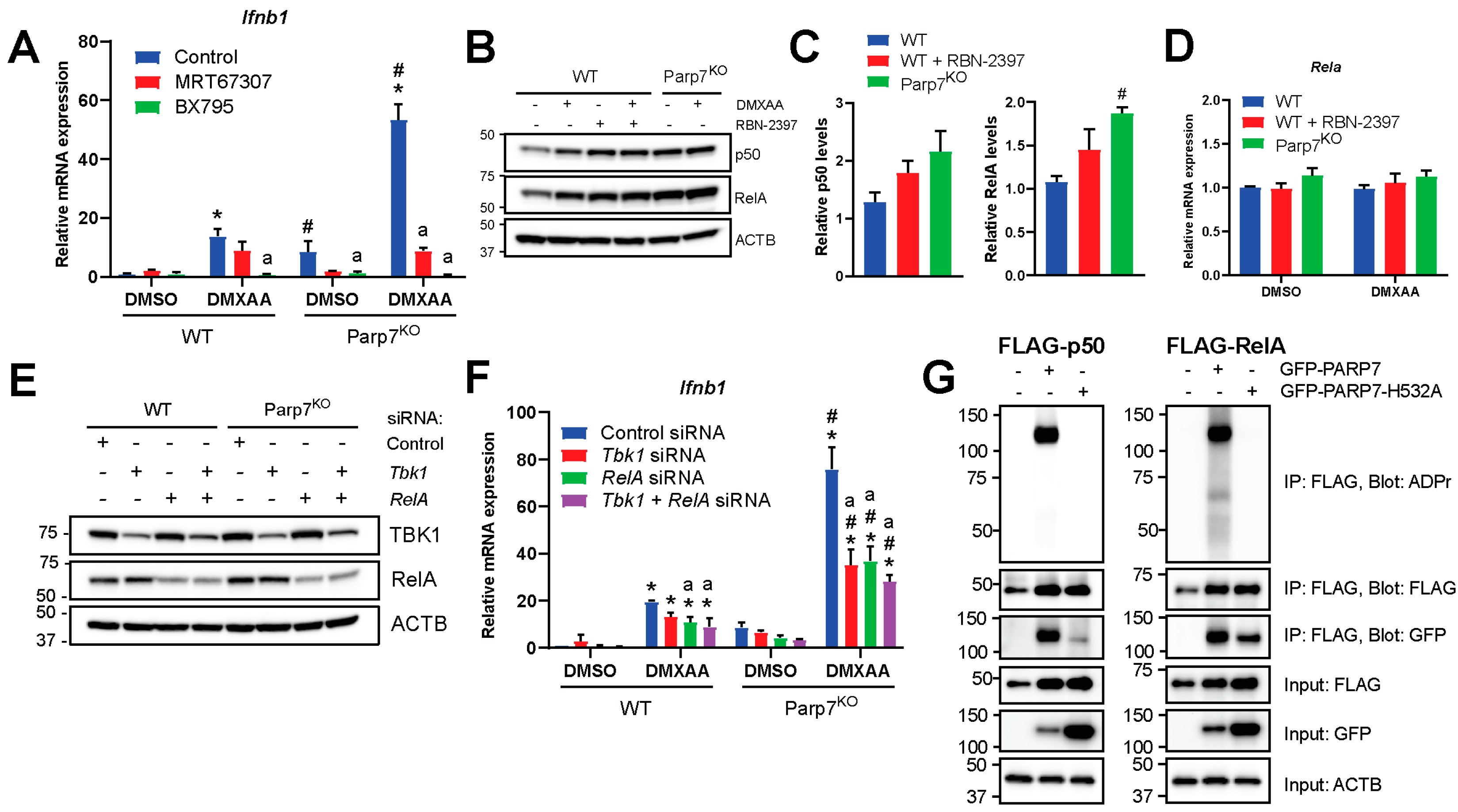 Cancers 15 03689 g004 Cancers 15 03689 g004