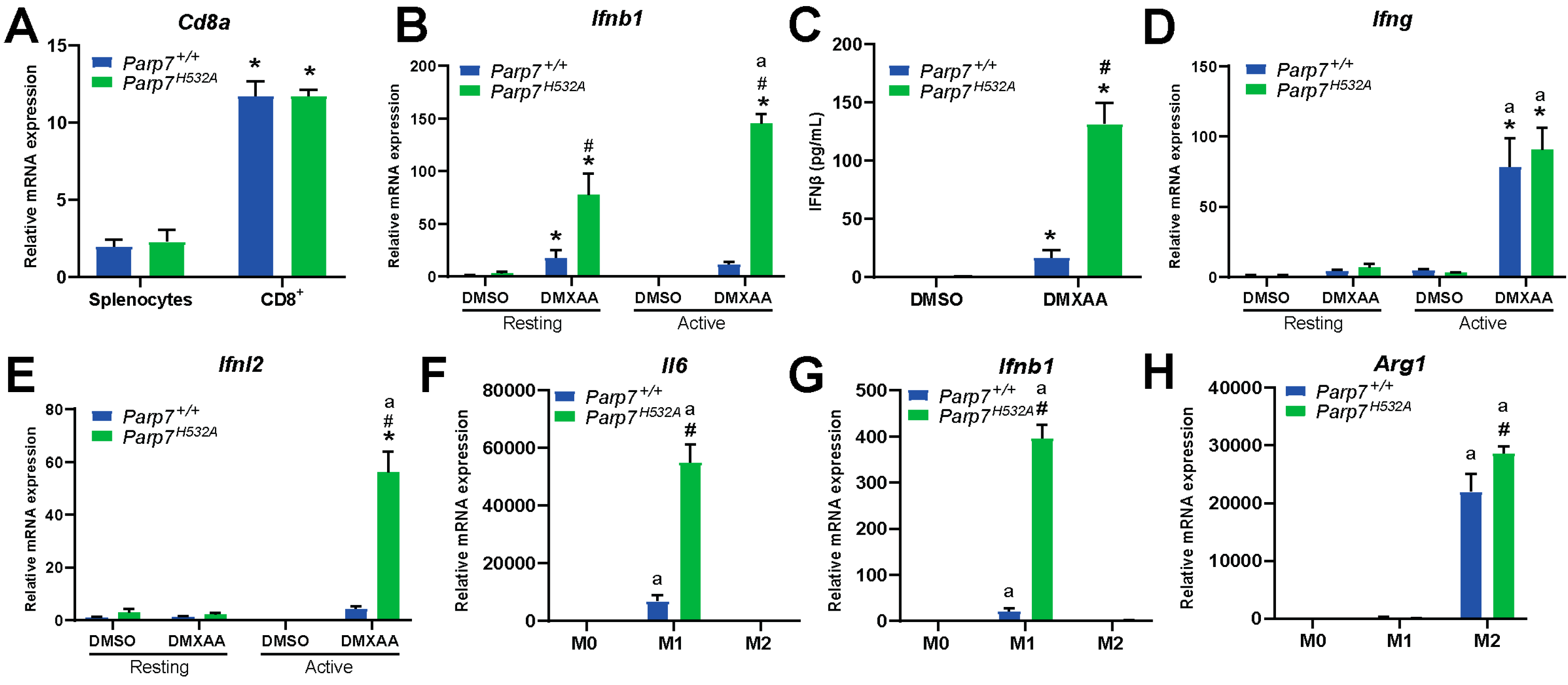 Cancers 15 03689 g006 Cancers 15 03689 g006