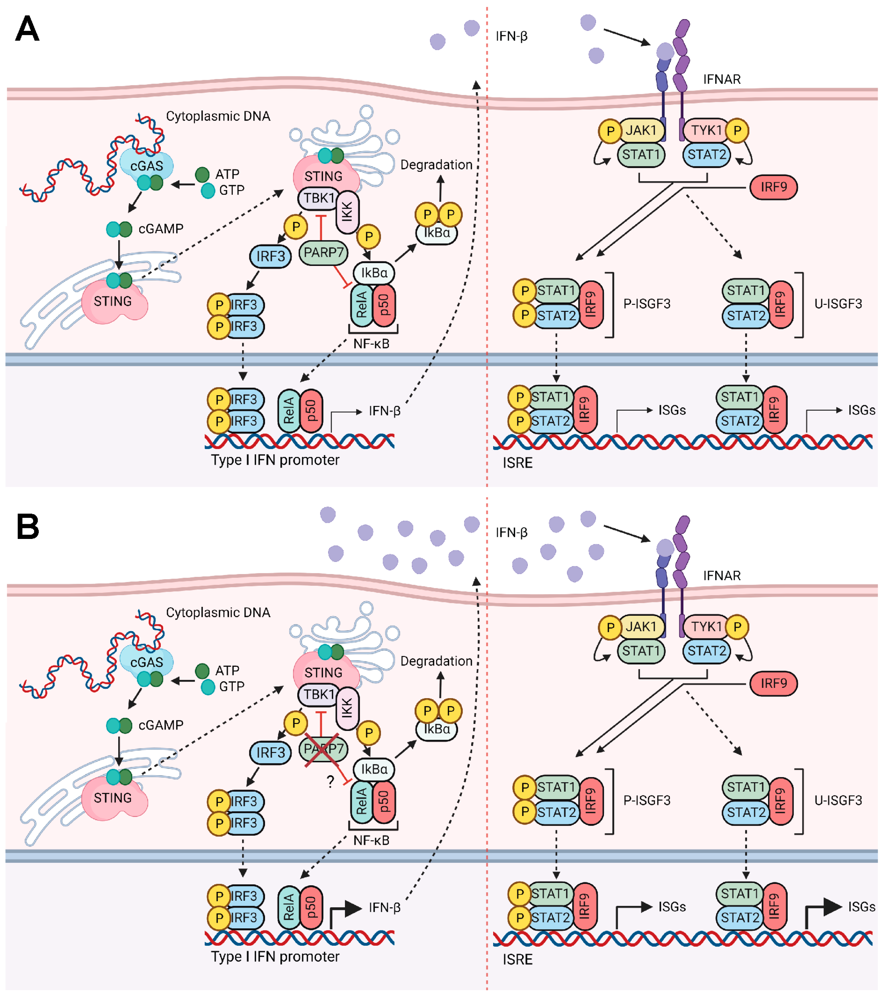 Cancers 15 03689 g007 Cancers 15 03689 g007