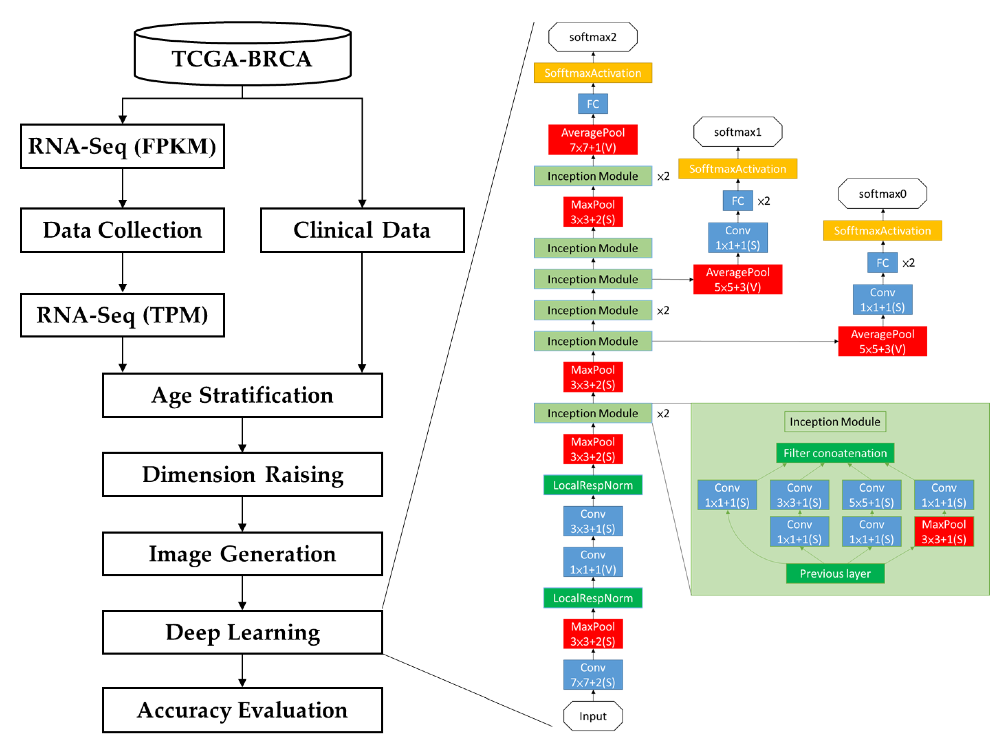 Cancers 15 03690 g001 Cancers 15 03690 g001