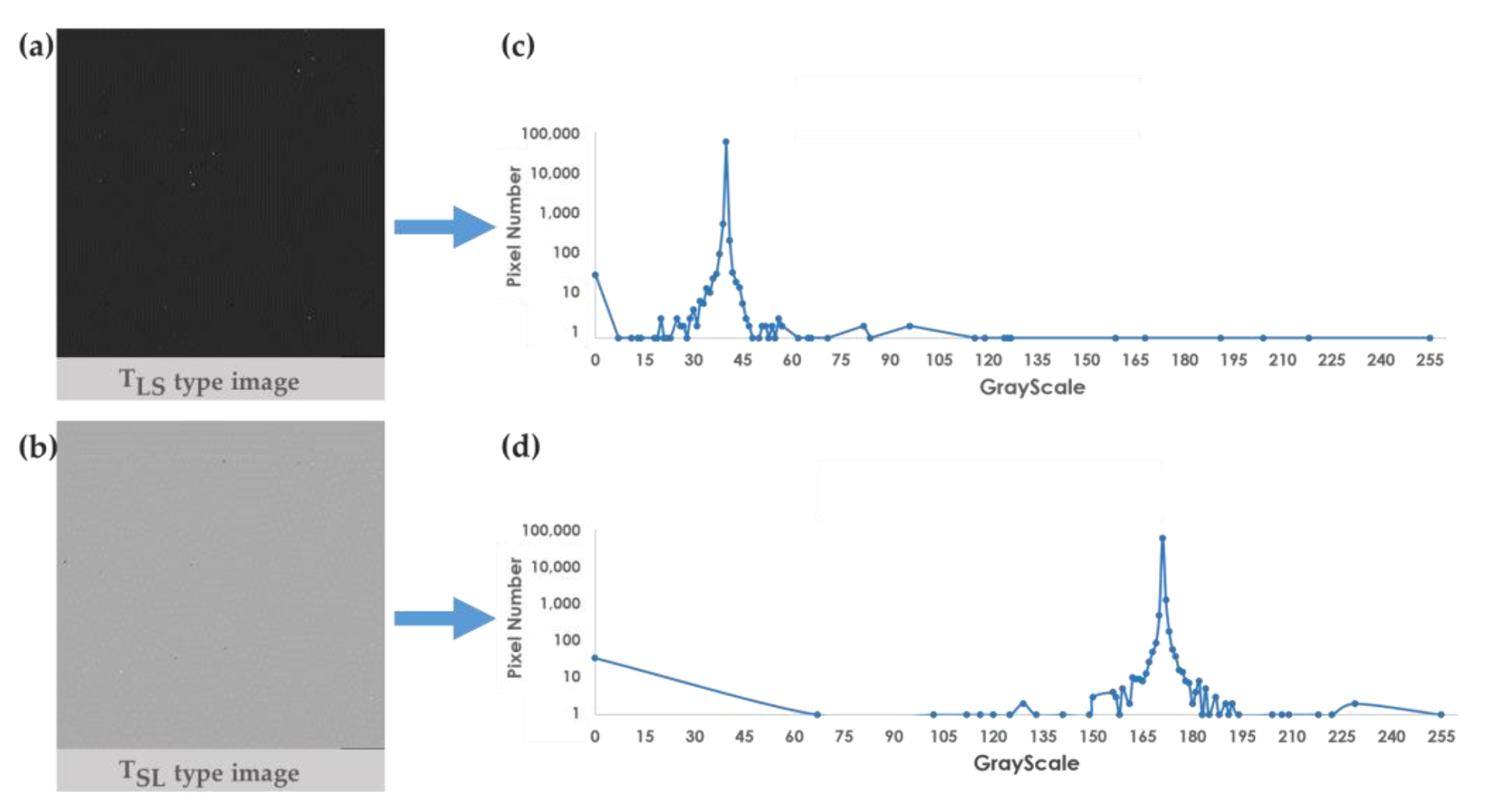 Cancers 15 03690 g005 Cancers 15 03690 g005