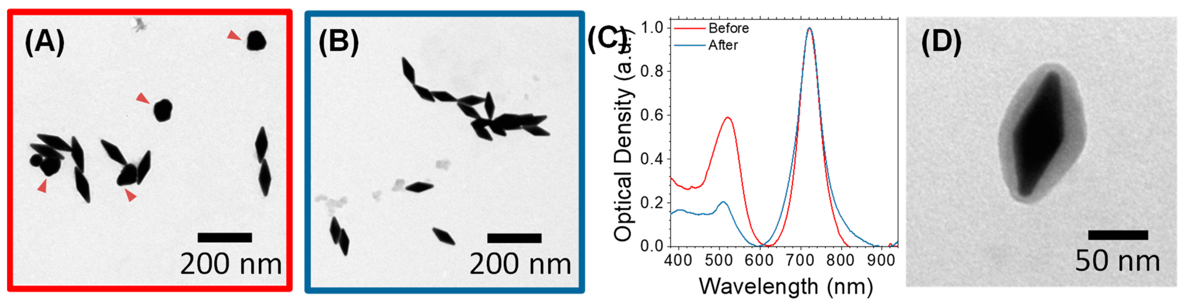 Cancers 15 03693 g002 Cancers 15 03693 g002