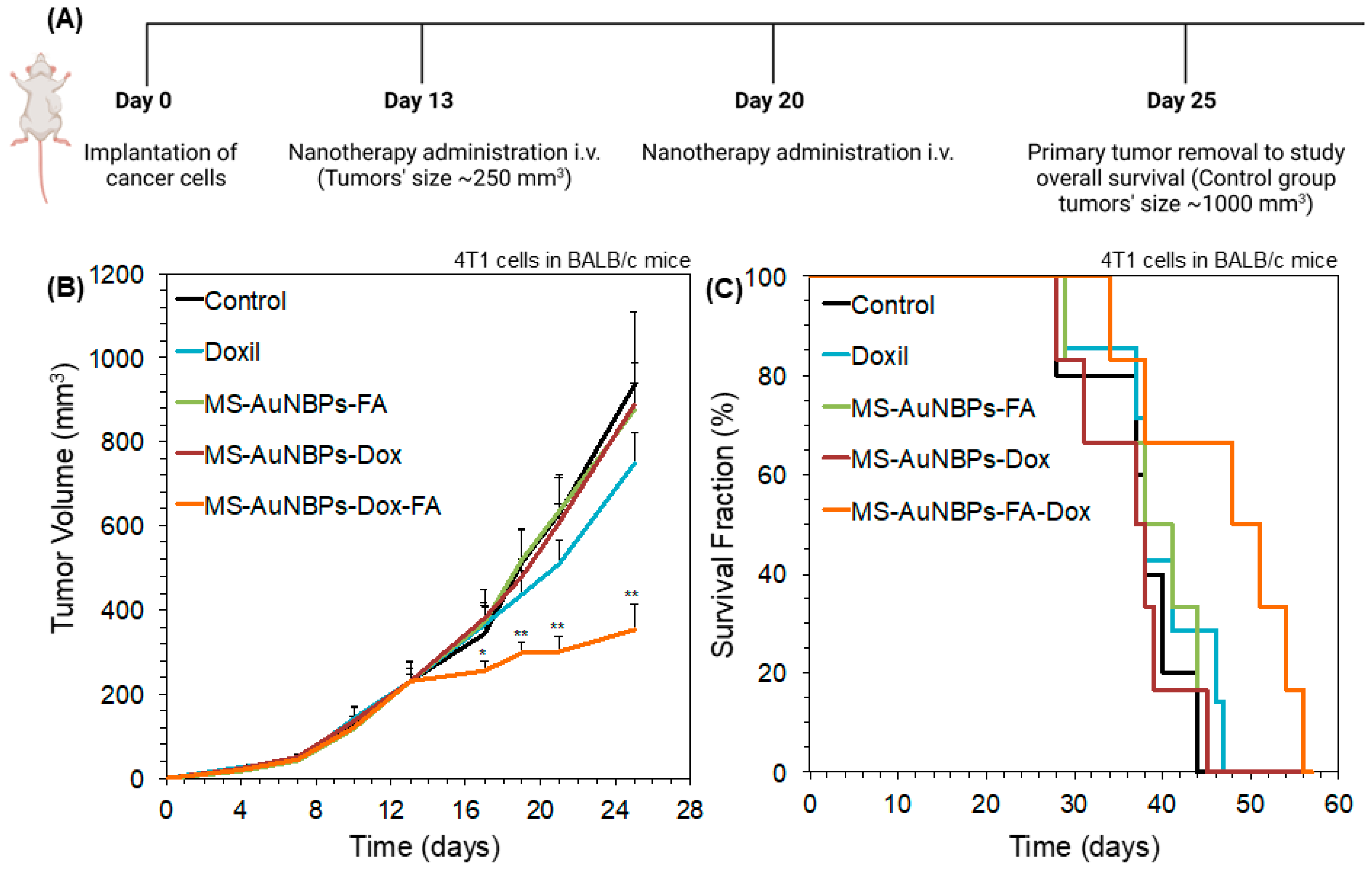 Cancers 15 03693 g007 Cancers 15 03693 g007