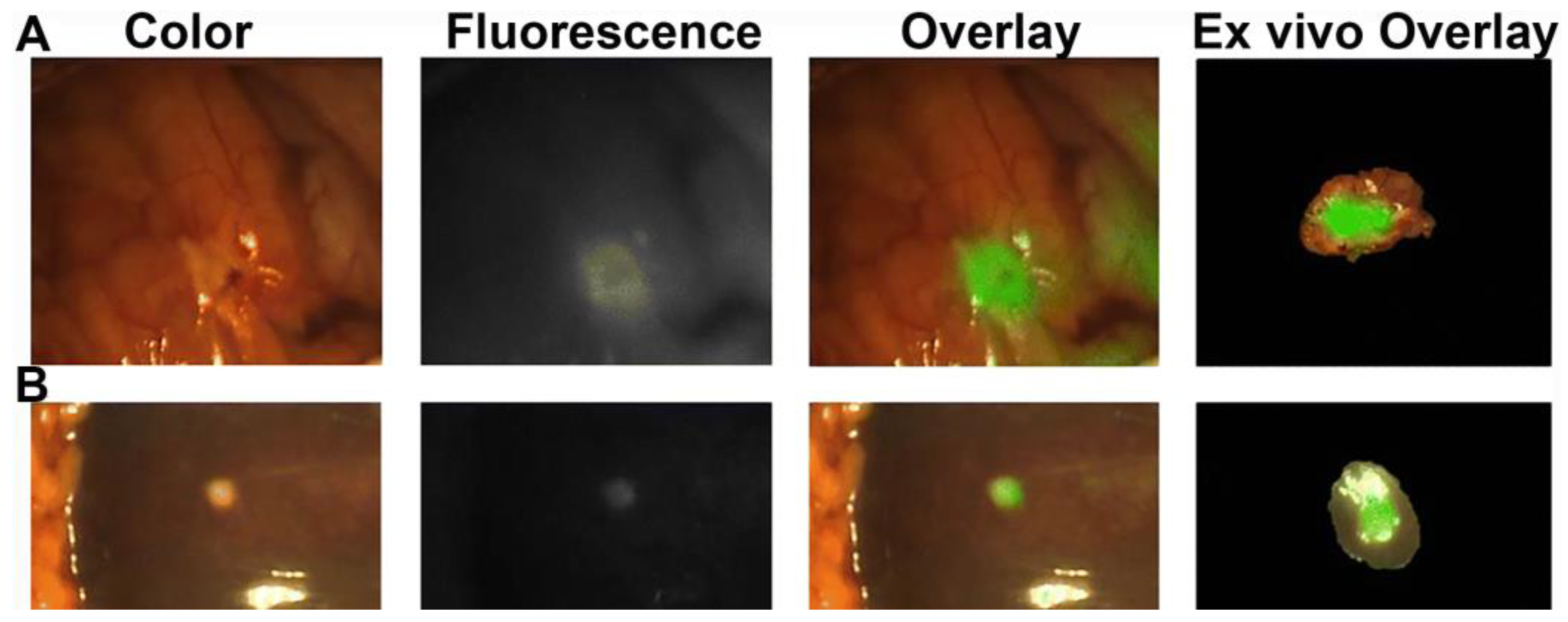 Cancers 15 03694 g004