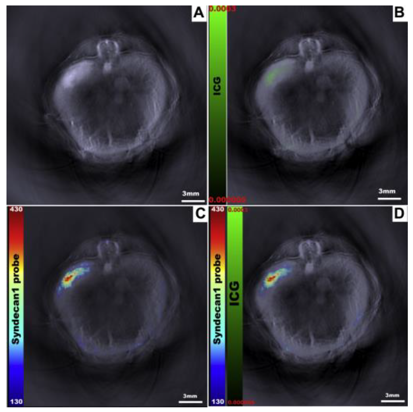 Cancers 15 03694 g006 Cancers 15 03694 g006