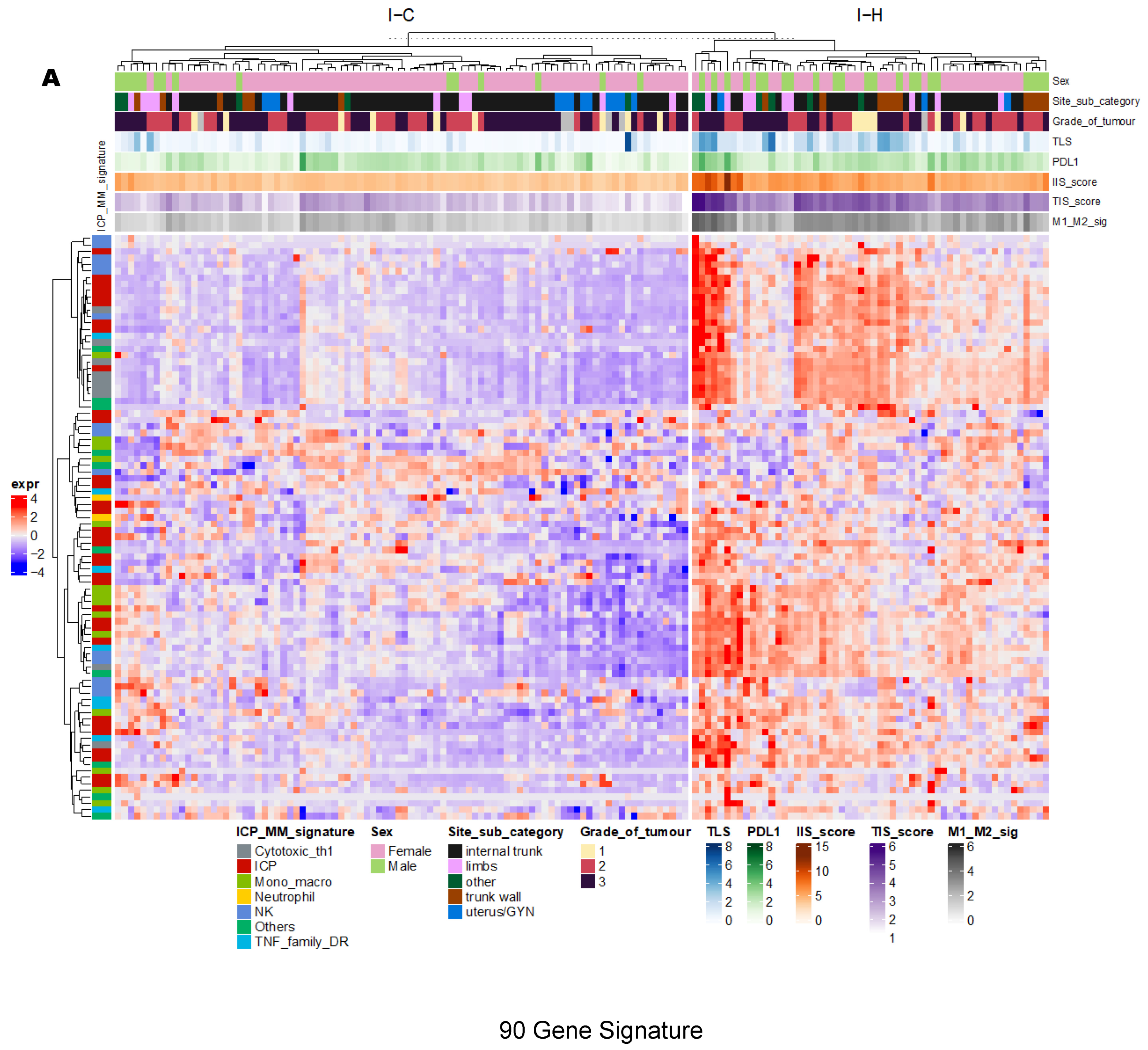 Cancers 15 03705 g001a Cancers 15 03705 g001a