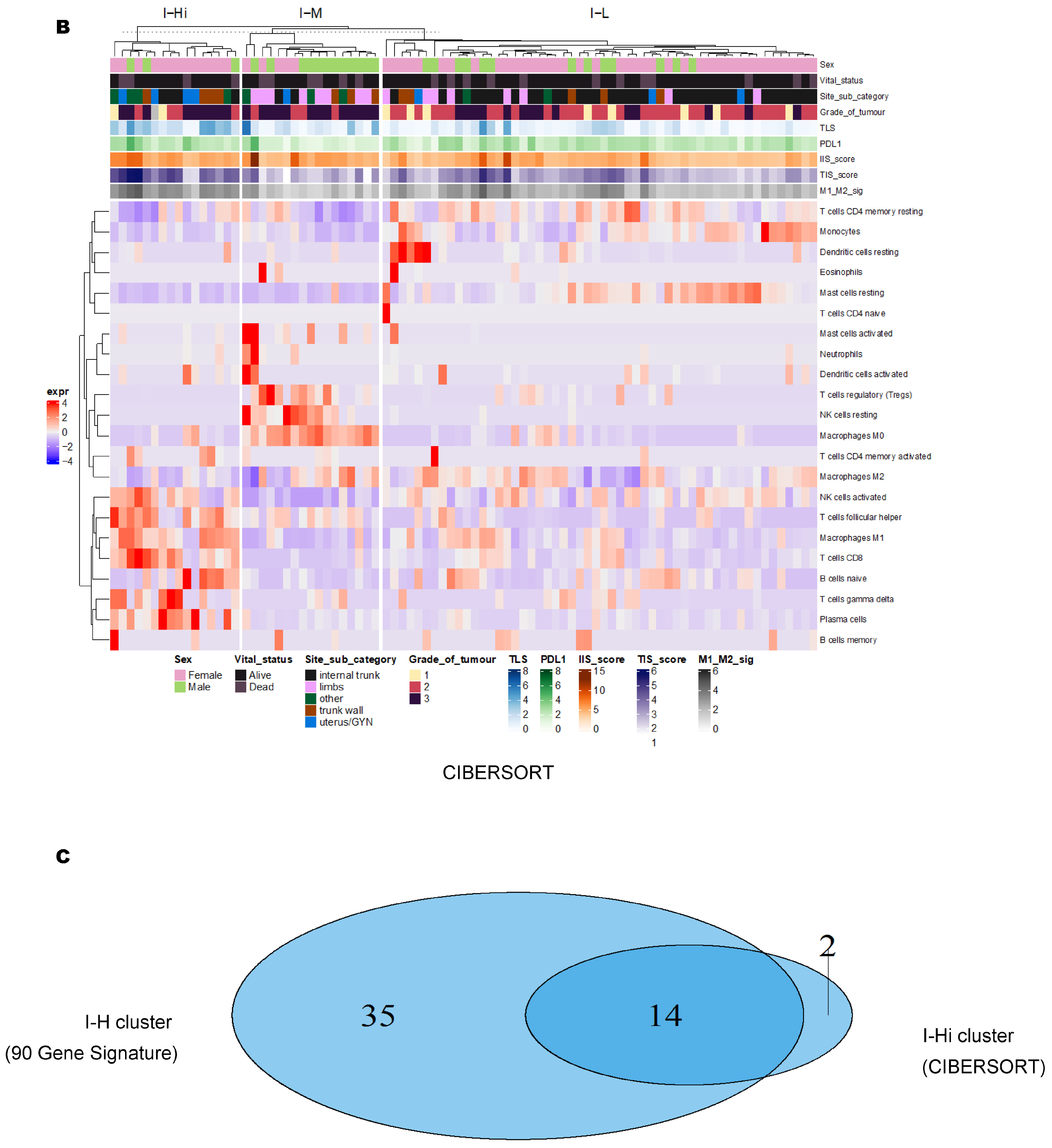 Cancers 15 03705 g001b Cancers 15 03705 g001b