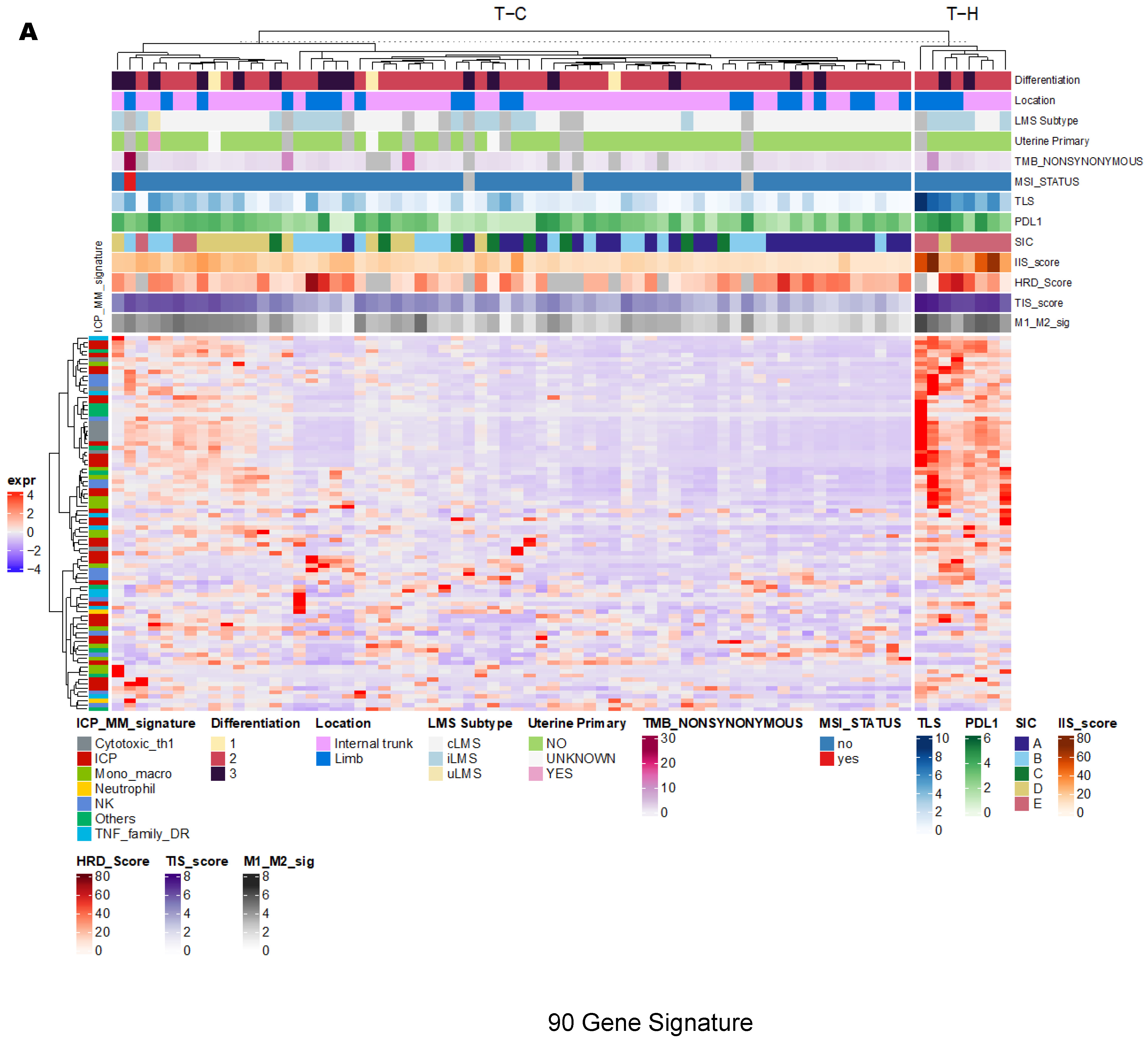 Cancers 15 03705 g002a Cancers 15 03705 g002a