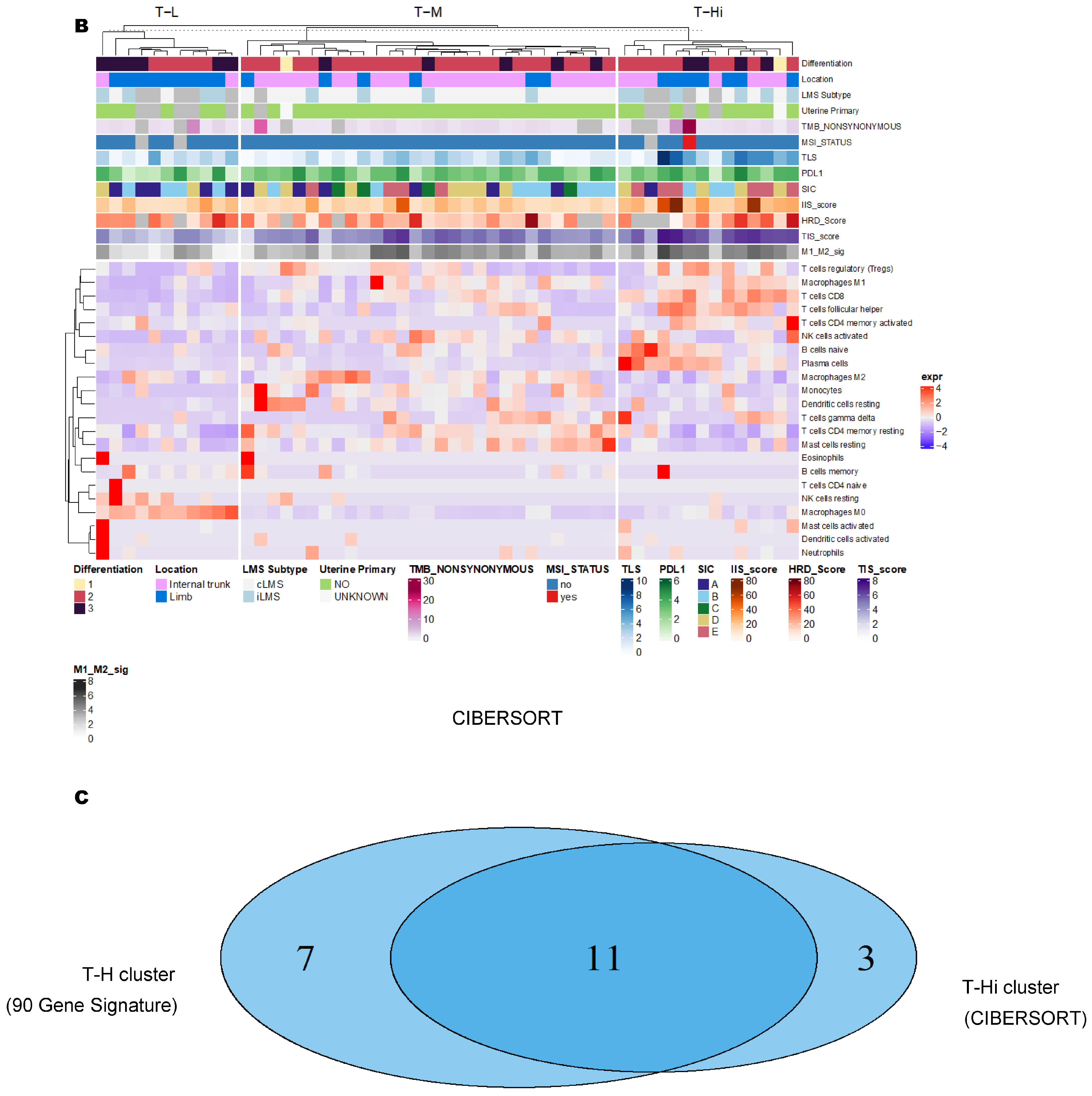 Cancers 15 03705 g002b Cancers 15 03705 g002b