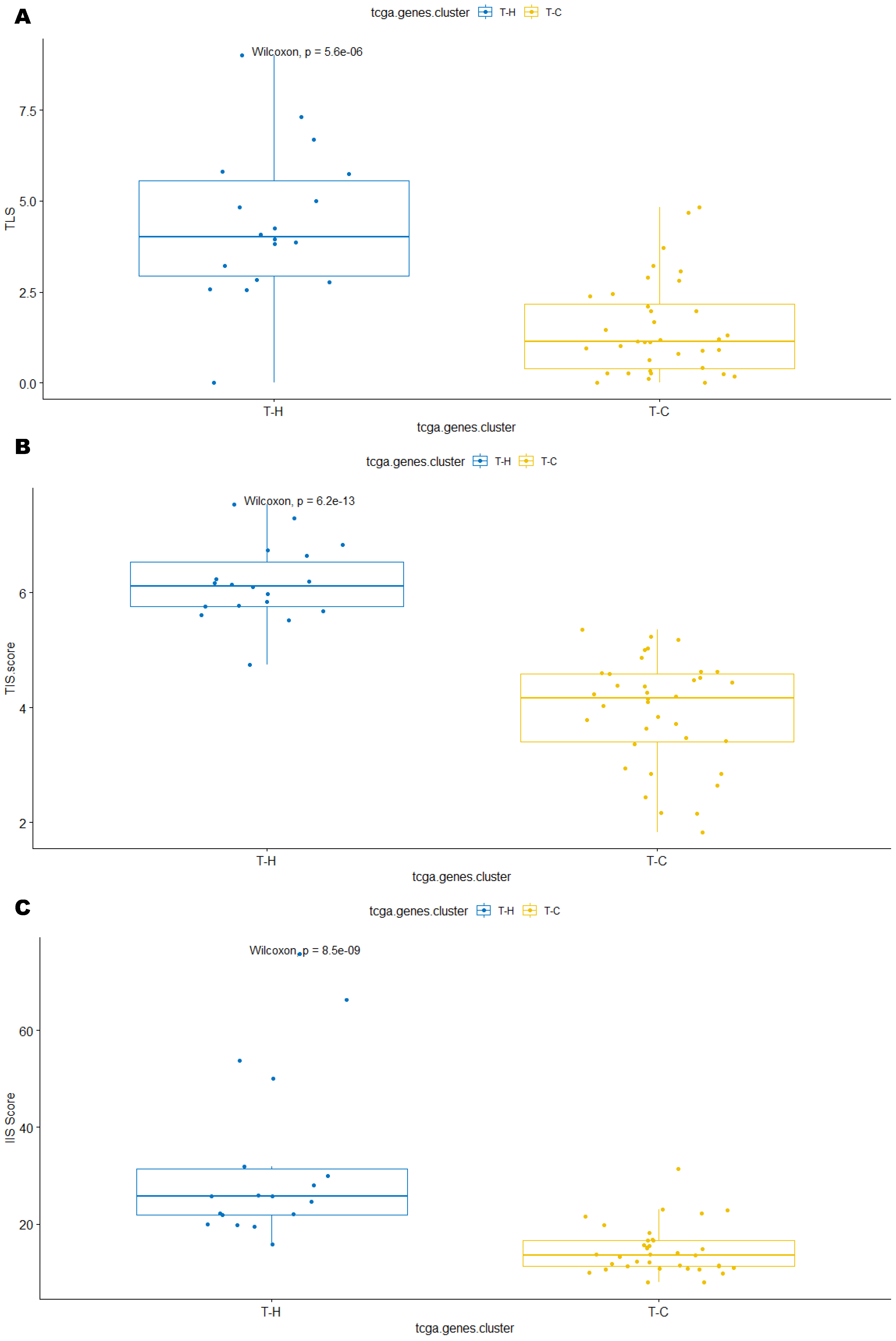 Cancers 15 03705 g004a Cancers 15 03705 g004a
