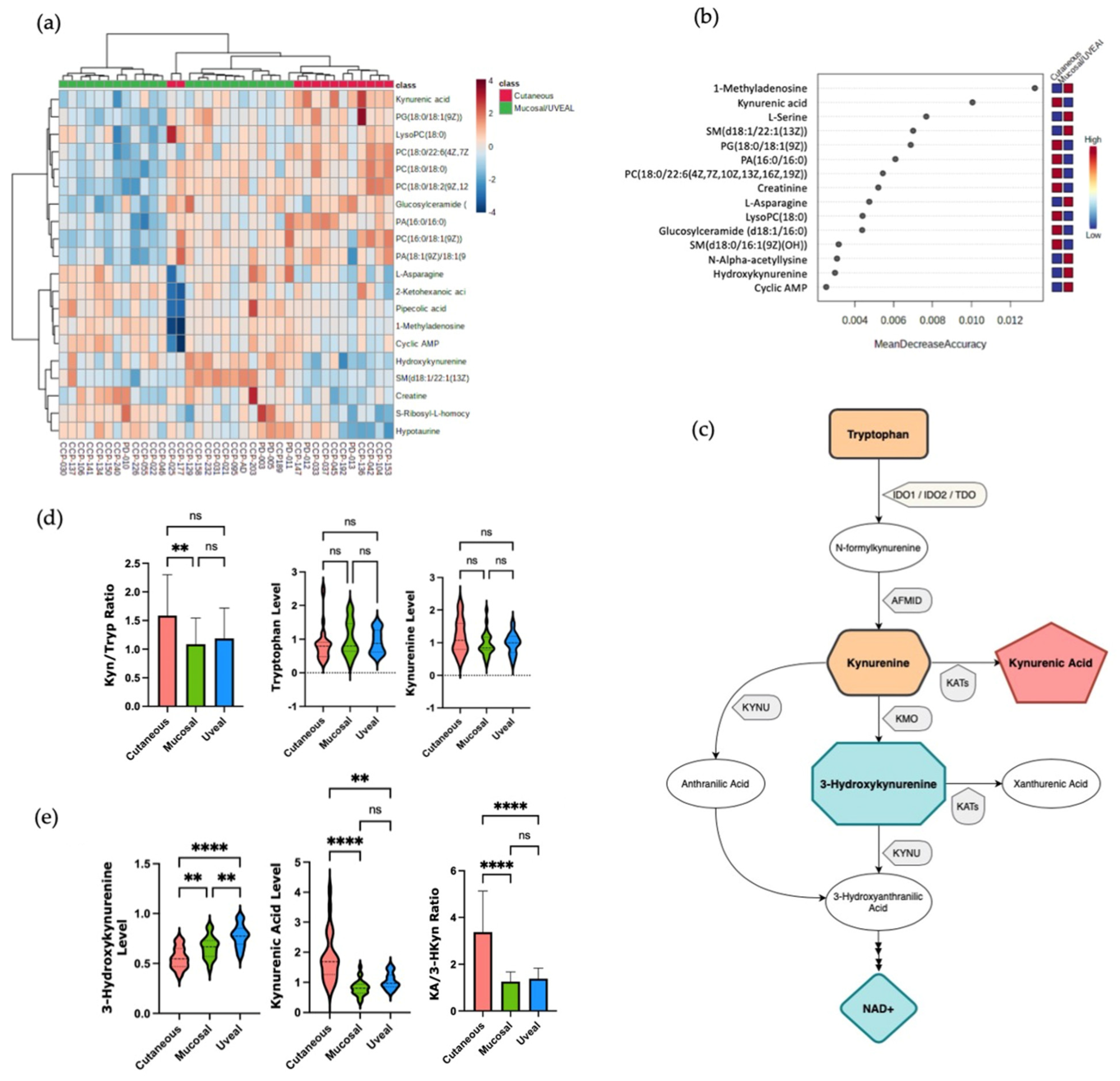 Cancers 15 03708 g002 Cancers 15 03708 g002