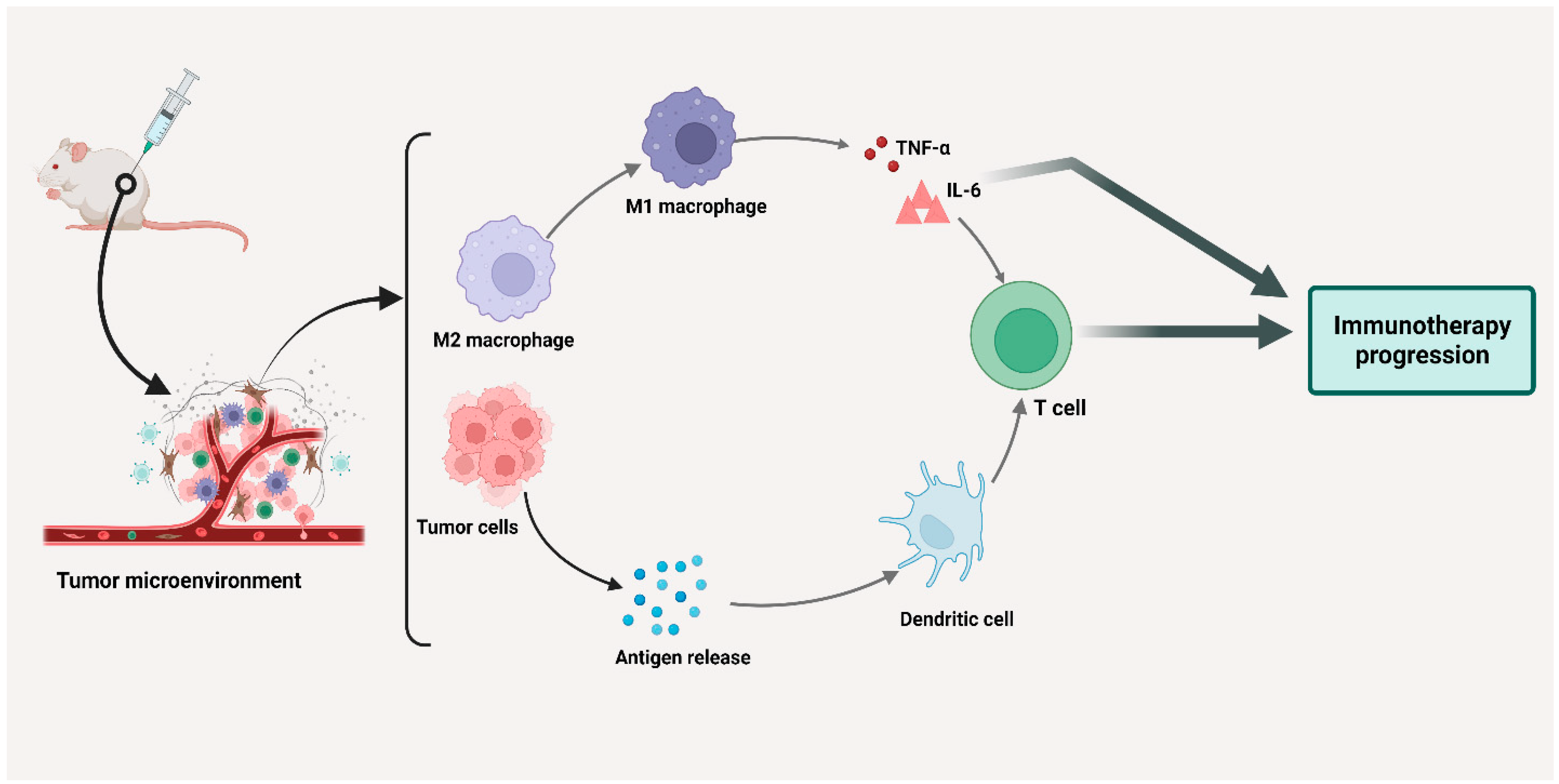 Cancers 15 03722 g003