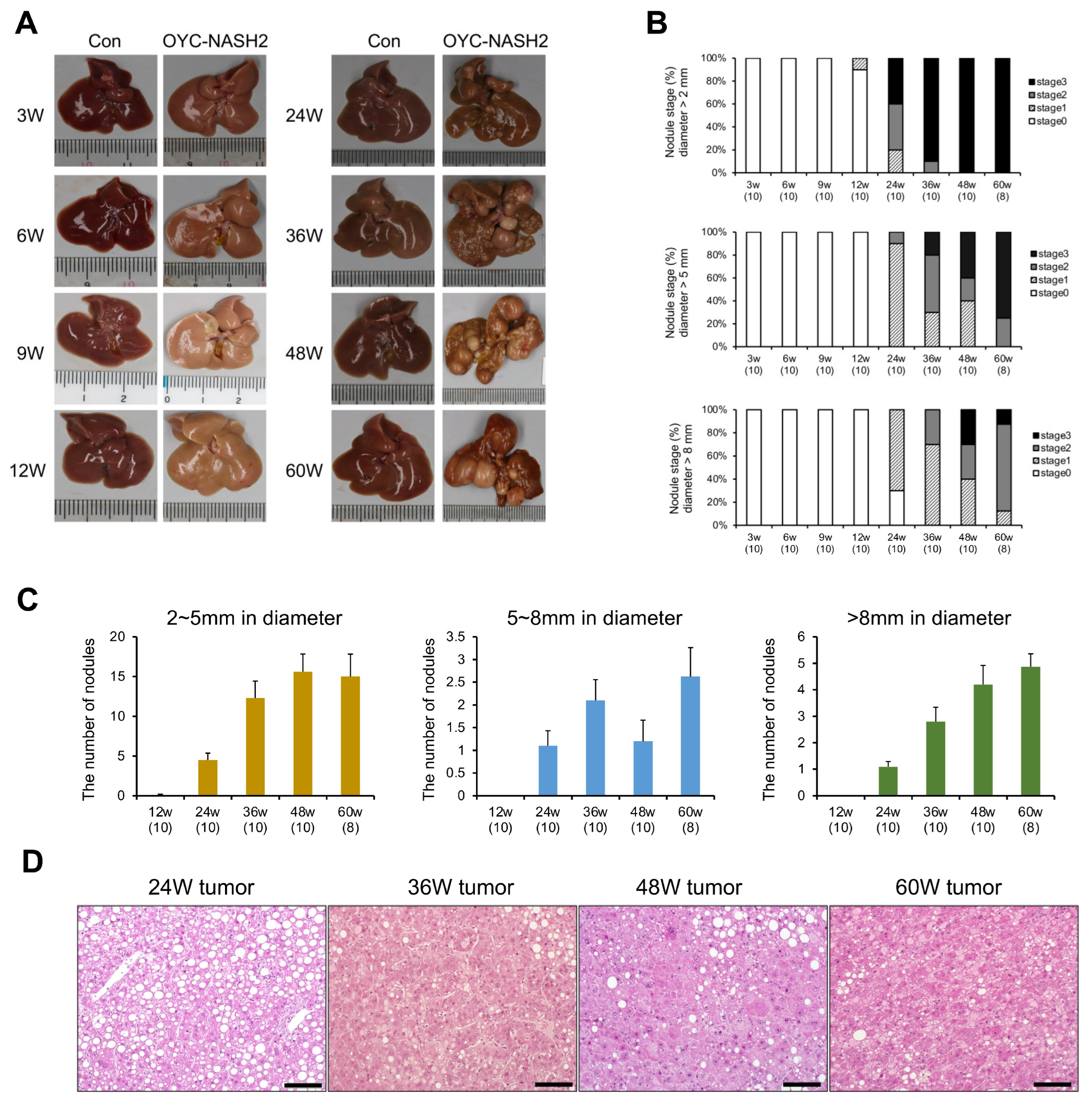 Cancers 15 03744 g001 Cancers 15 03744 g001
